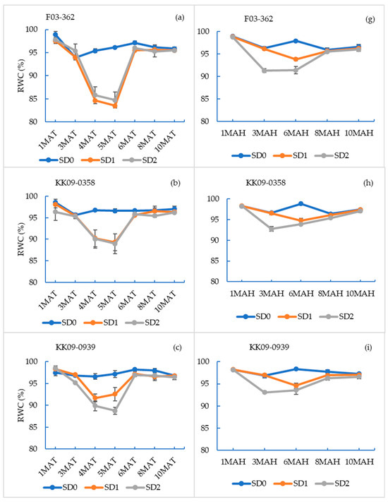Plants 14 00796 g002a