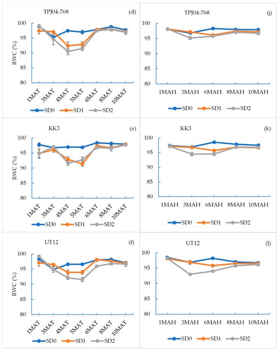 Plants 14 00796 g002b