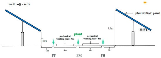 Plants 14 00797 g001
