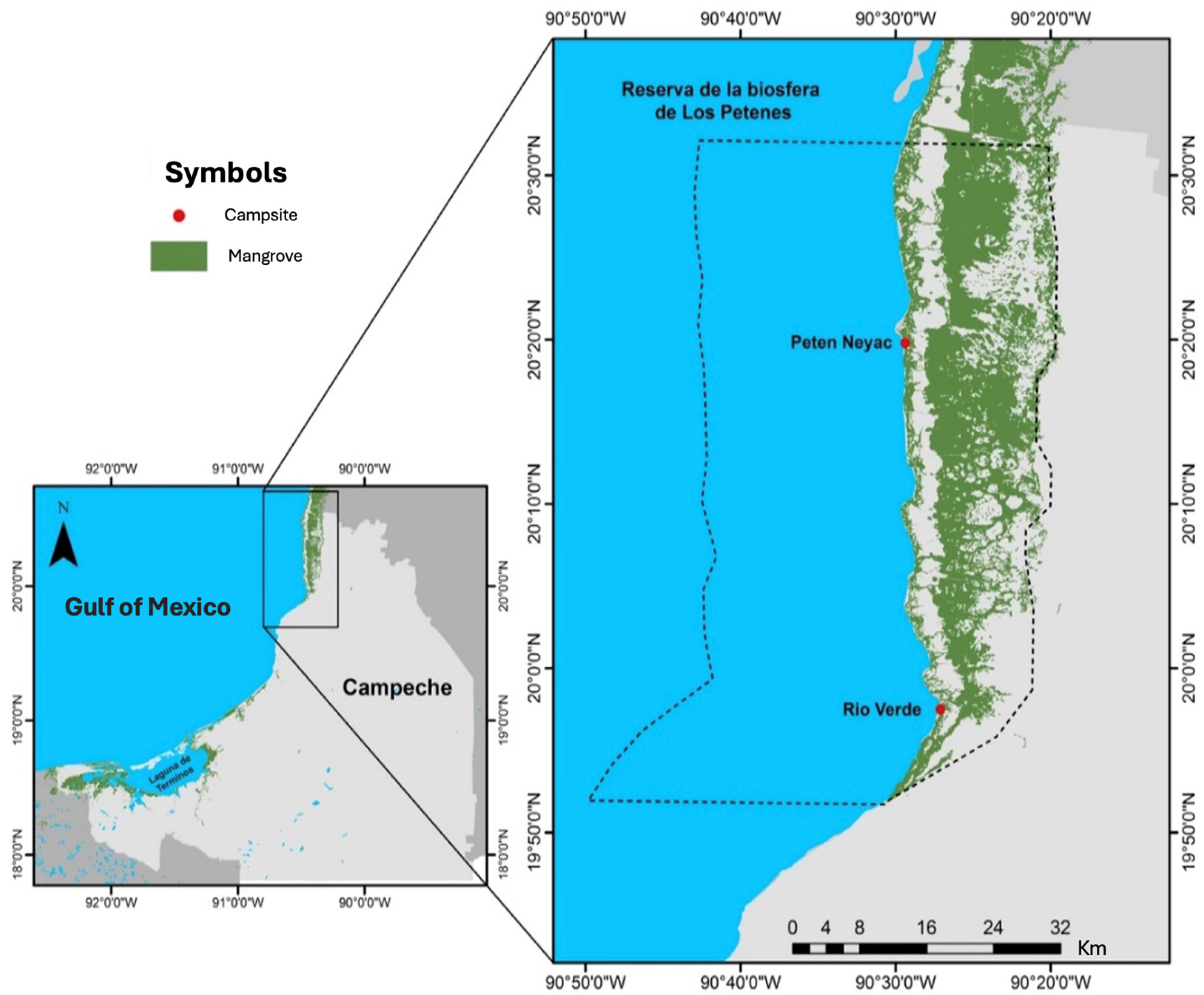 Plants 14 00800 g001