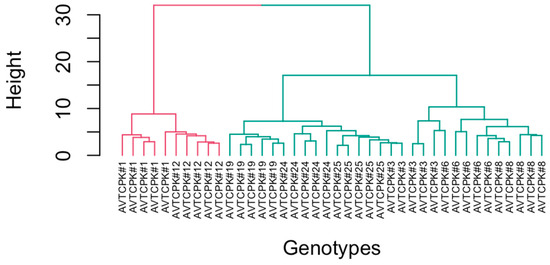 Plants 14 00806 g016