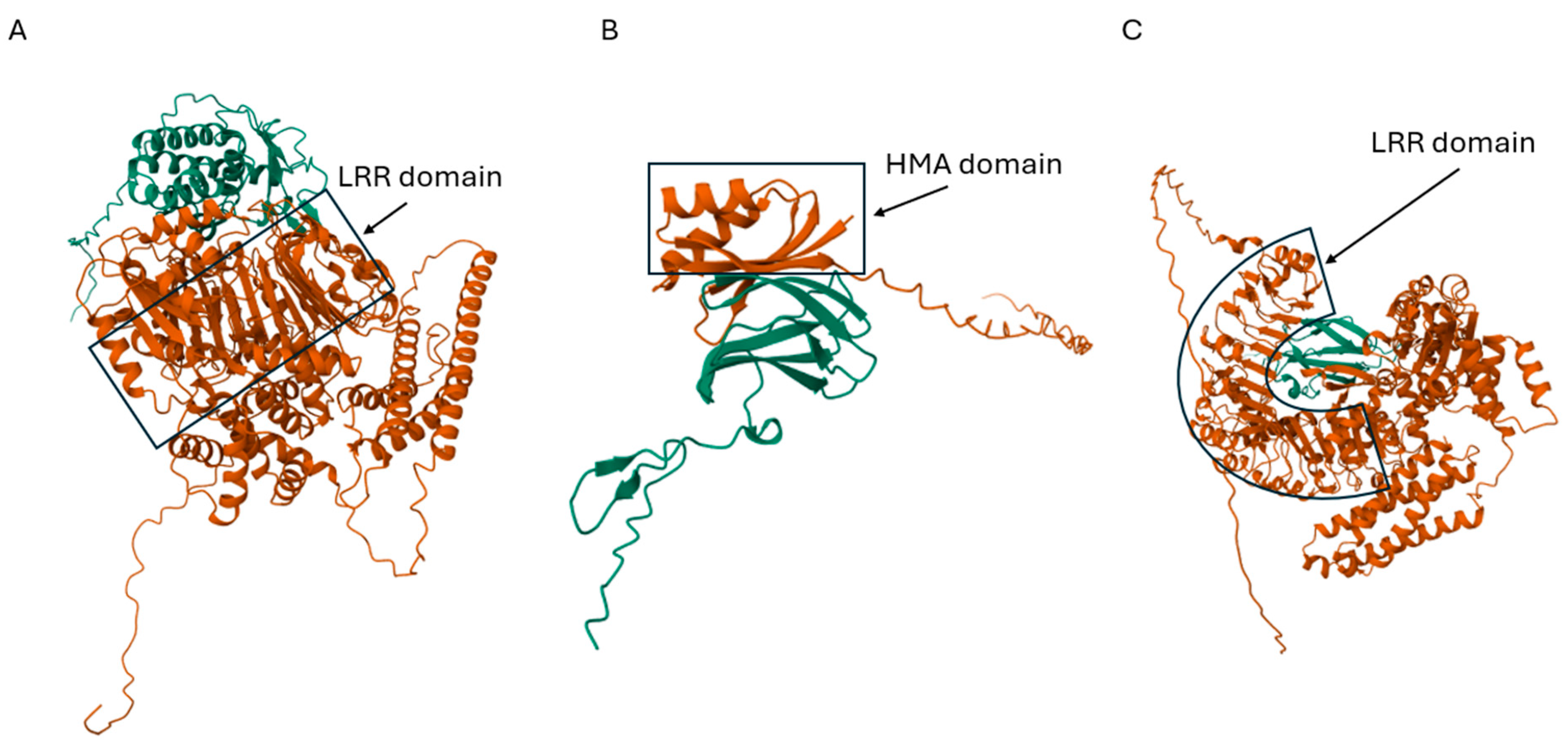 Plants 14 00807 g003 Plants 14 00807 g003