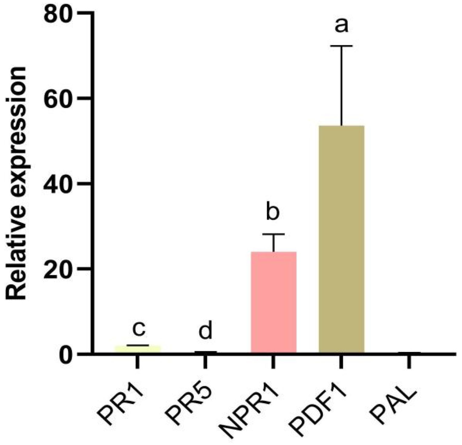 Plants 14 00829 g005