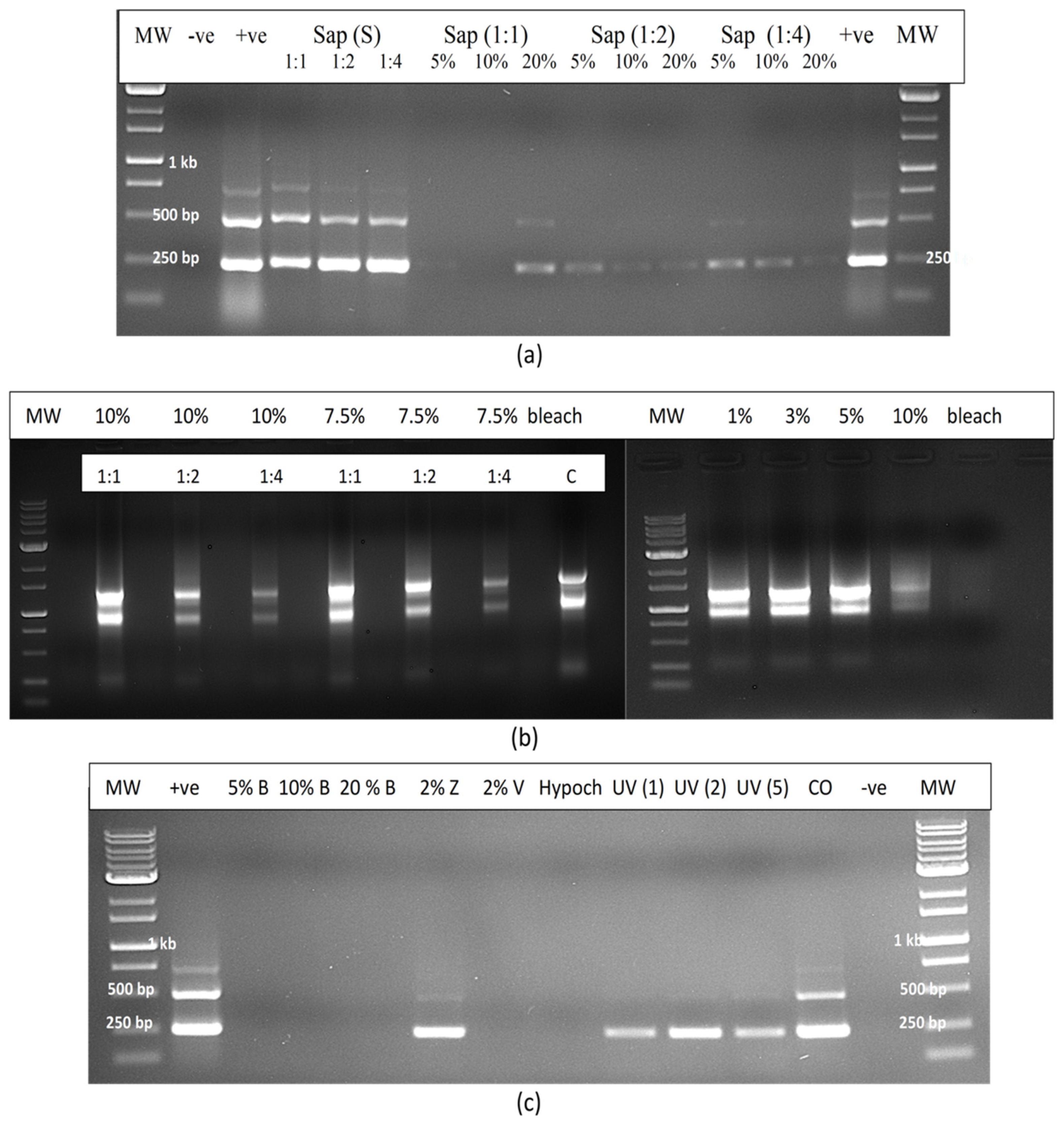 Plants 14 00830 g017 Plants 14 00830 g017