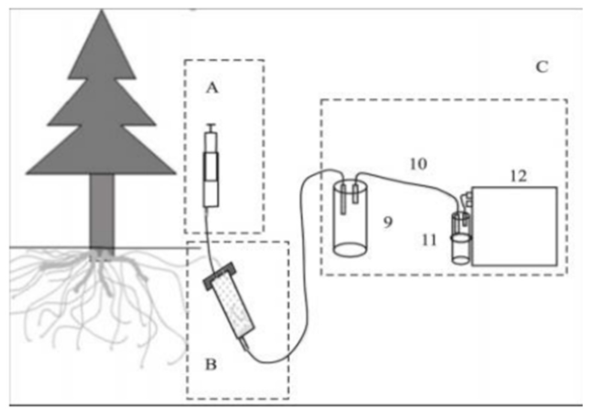 Plants 14 00836 g003