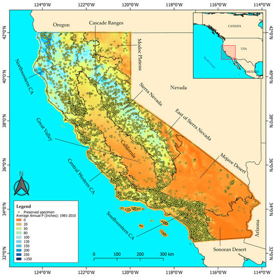 Plants 14 00843 g001