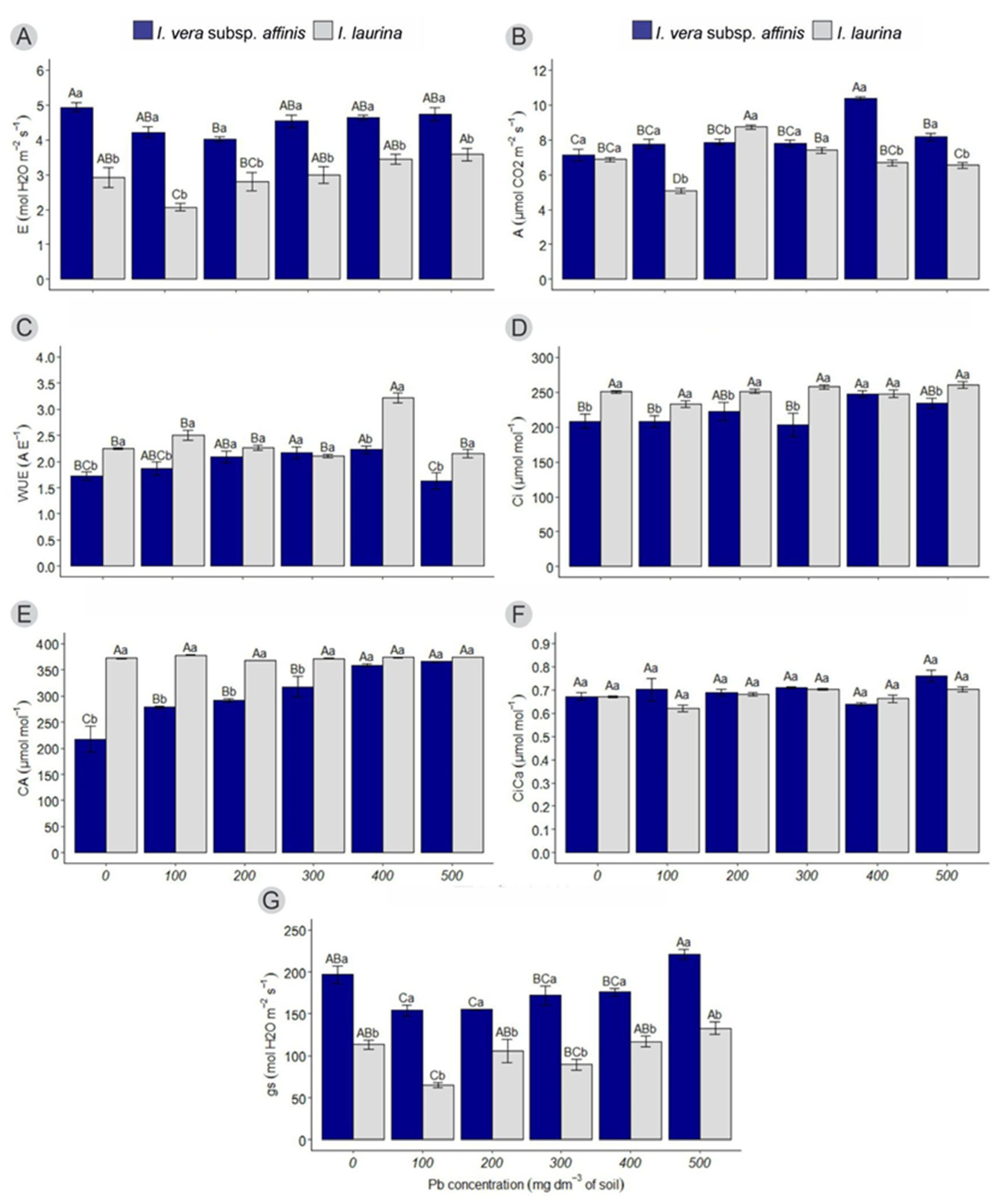 Plants 14 00856 g001