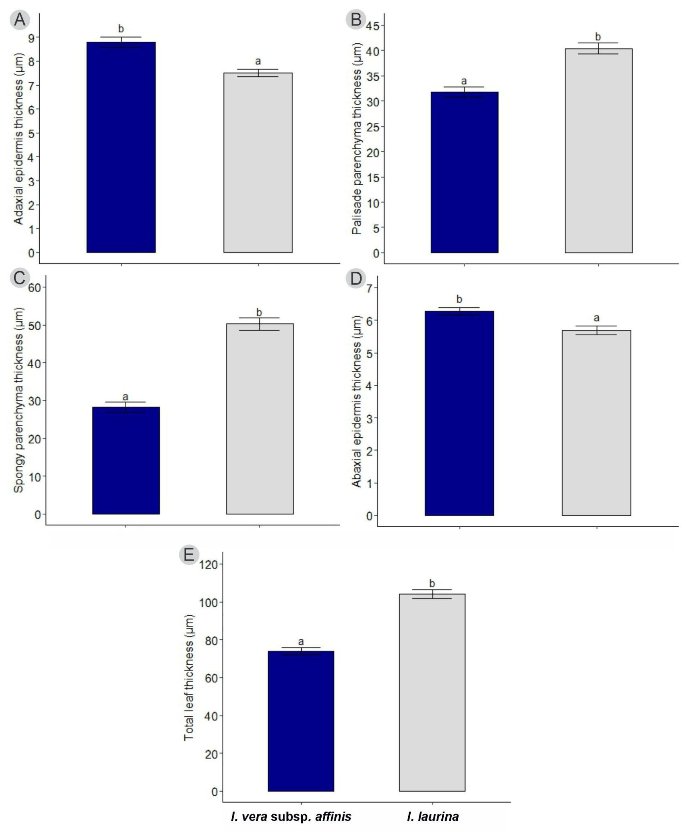 Plants 14 00856 g004