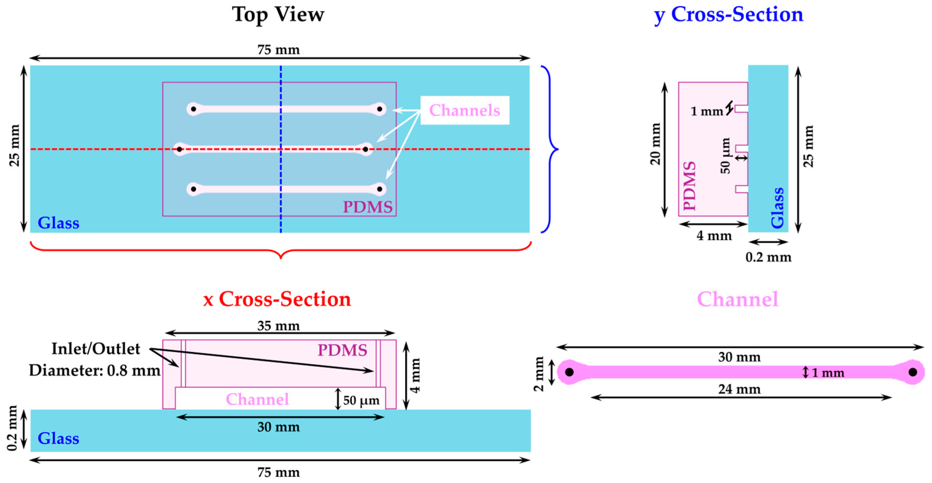 Plants 14 00872 g005