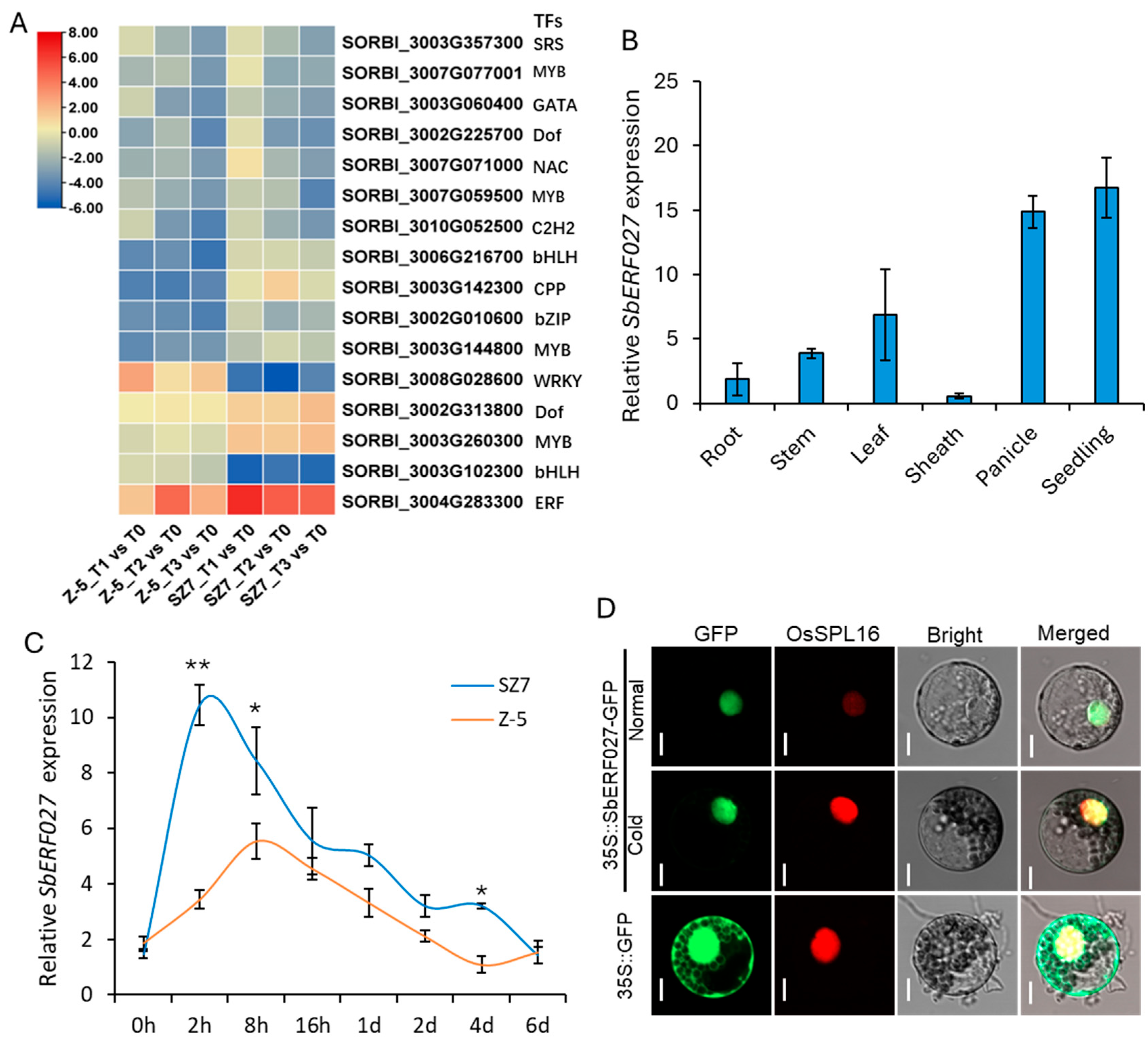 Plants 14 00879 g005 Plants 14 00879 g005