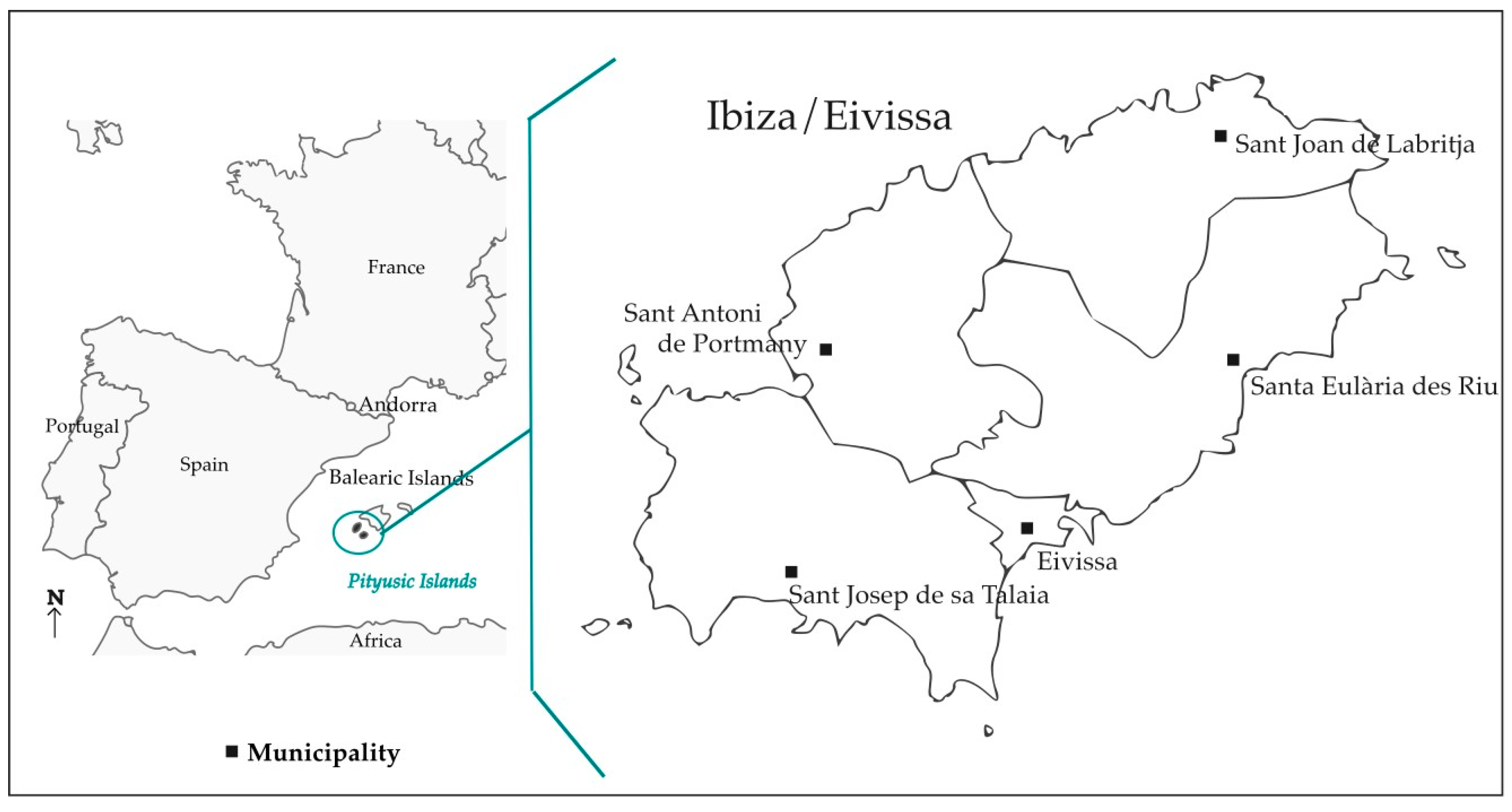 Plants 14 00890 g001