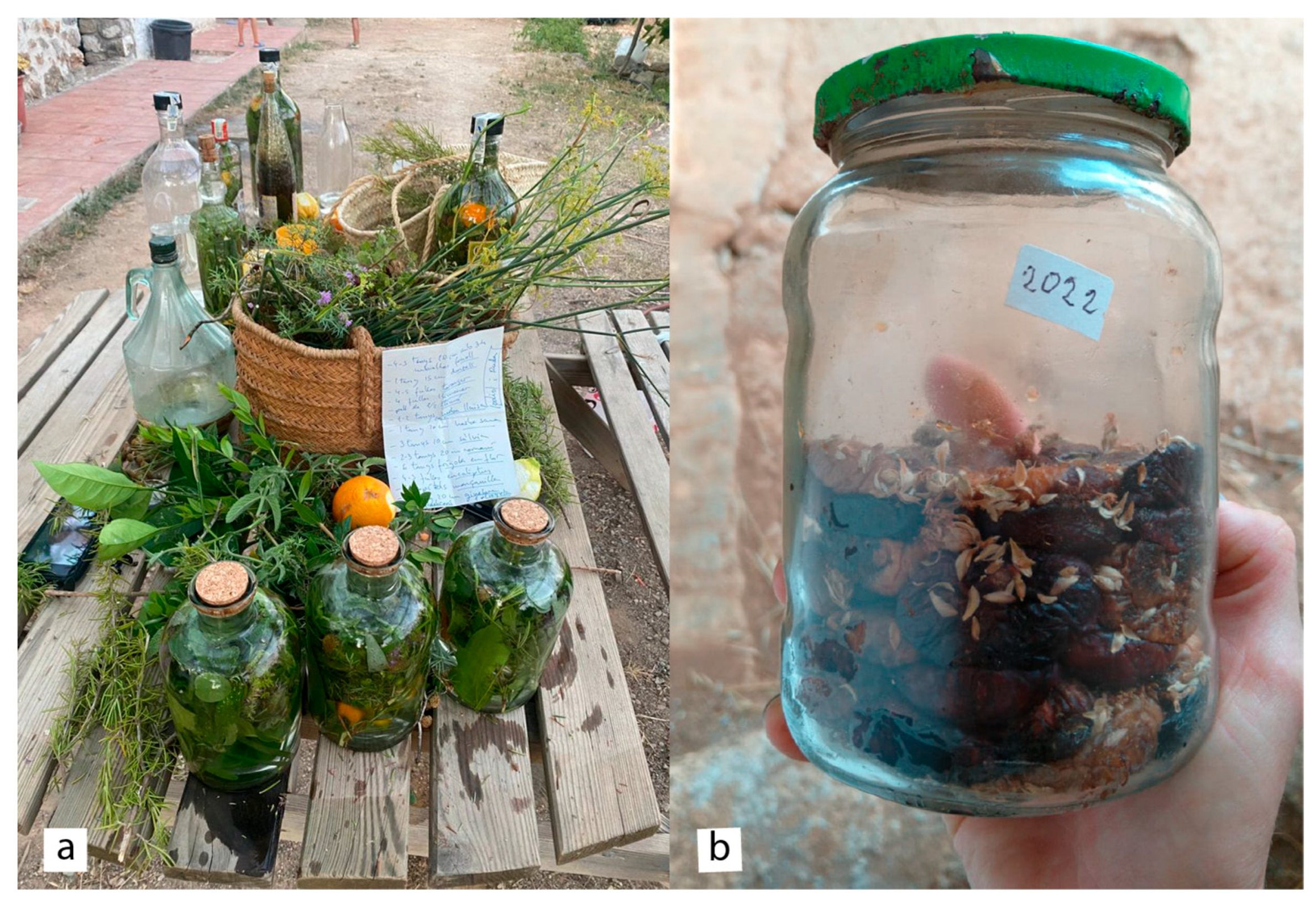 Plants 14 00890 g008