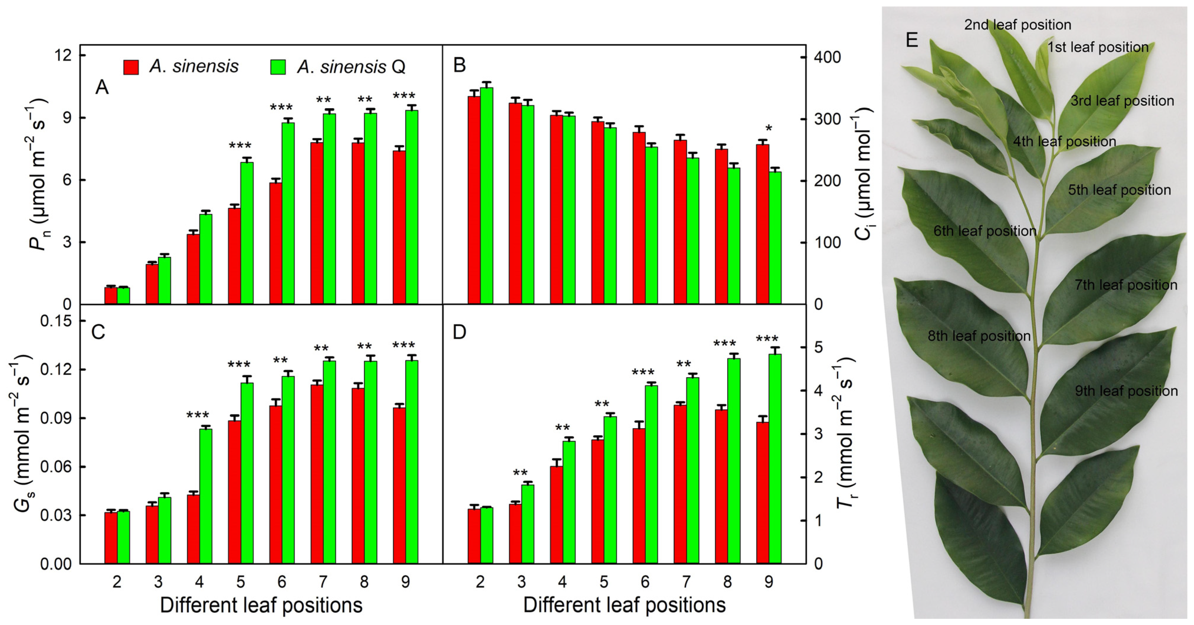 Plants 14 00896 g002