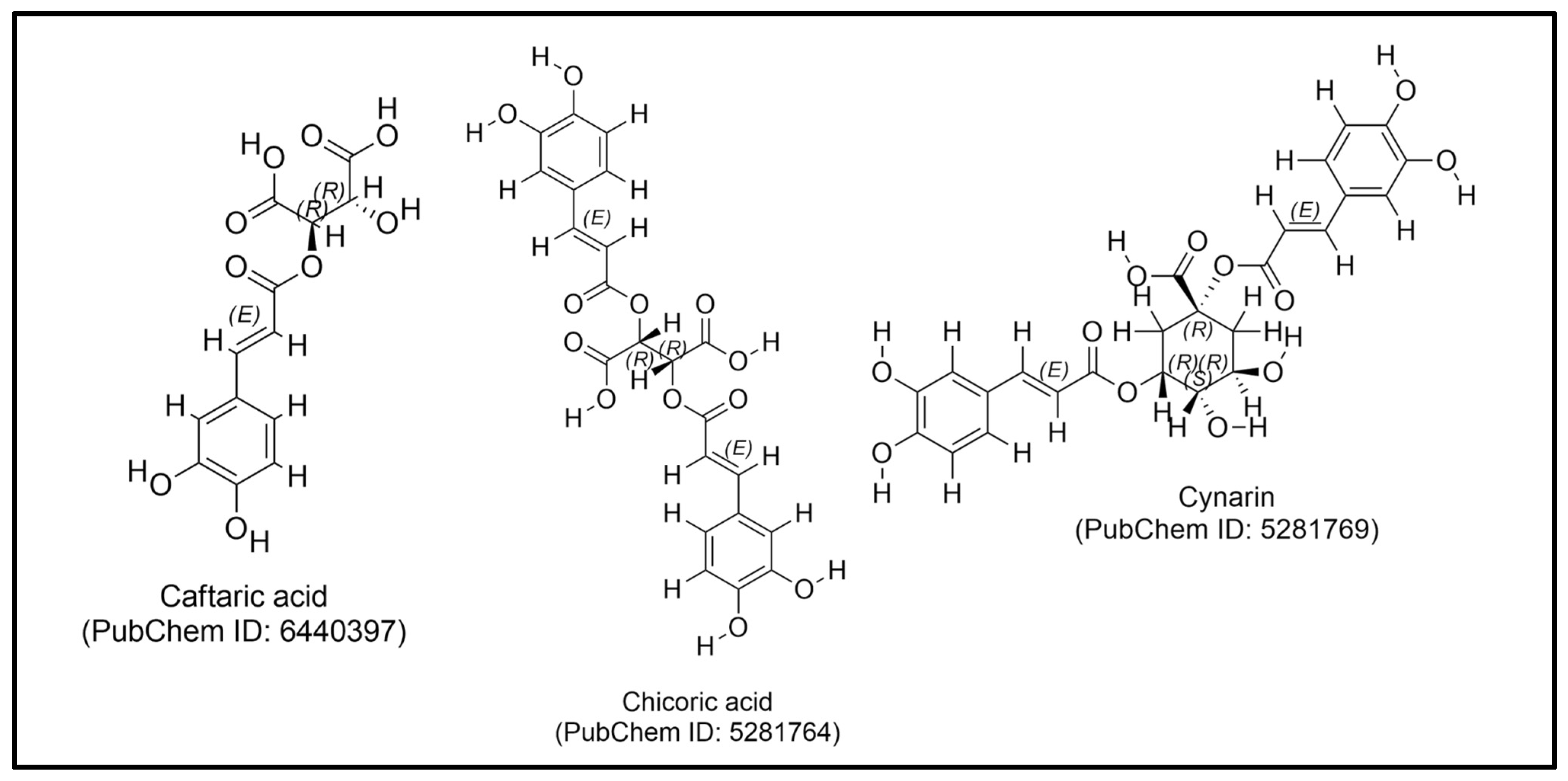 Plants 14 00897 g003