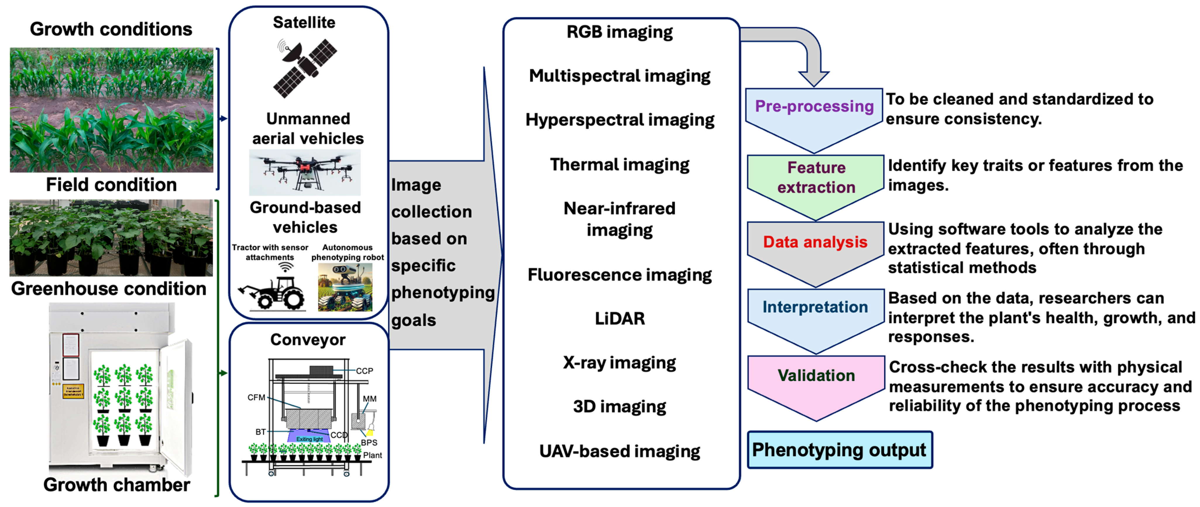 Plants 14 00907 g001