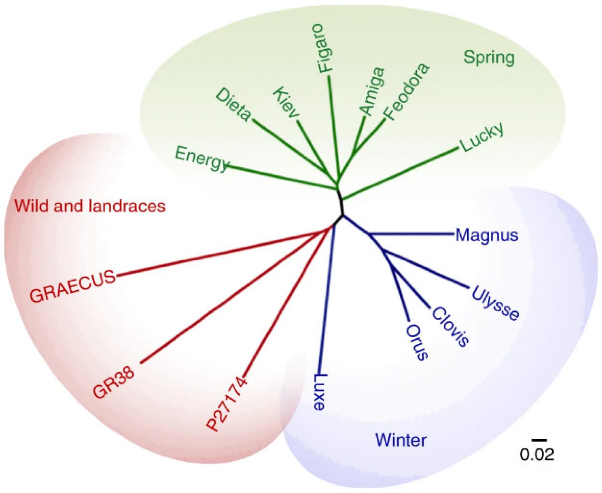 Plants 14 00914 g003