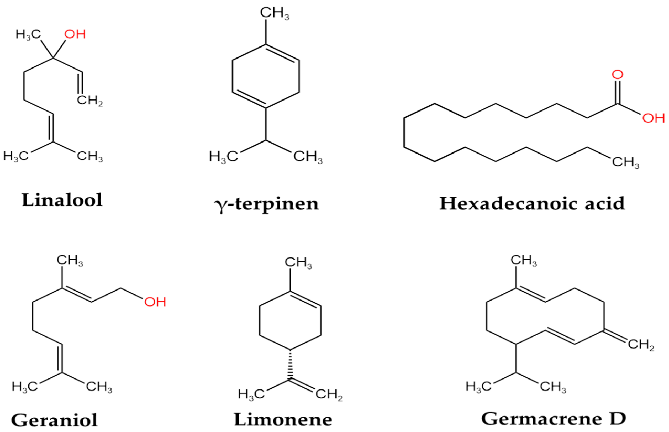 Plants 14 00918 g002