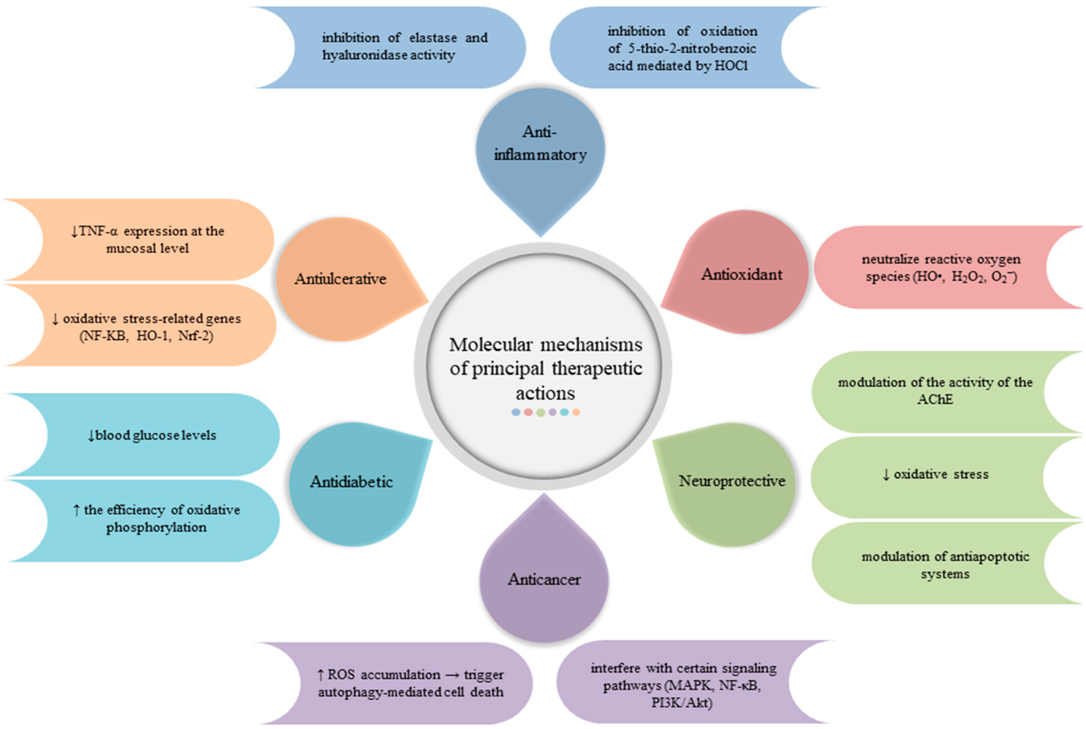 Plants 14 00918 g003