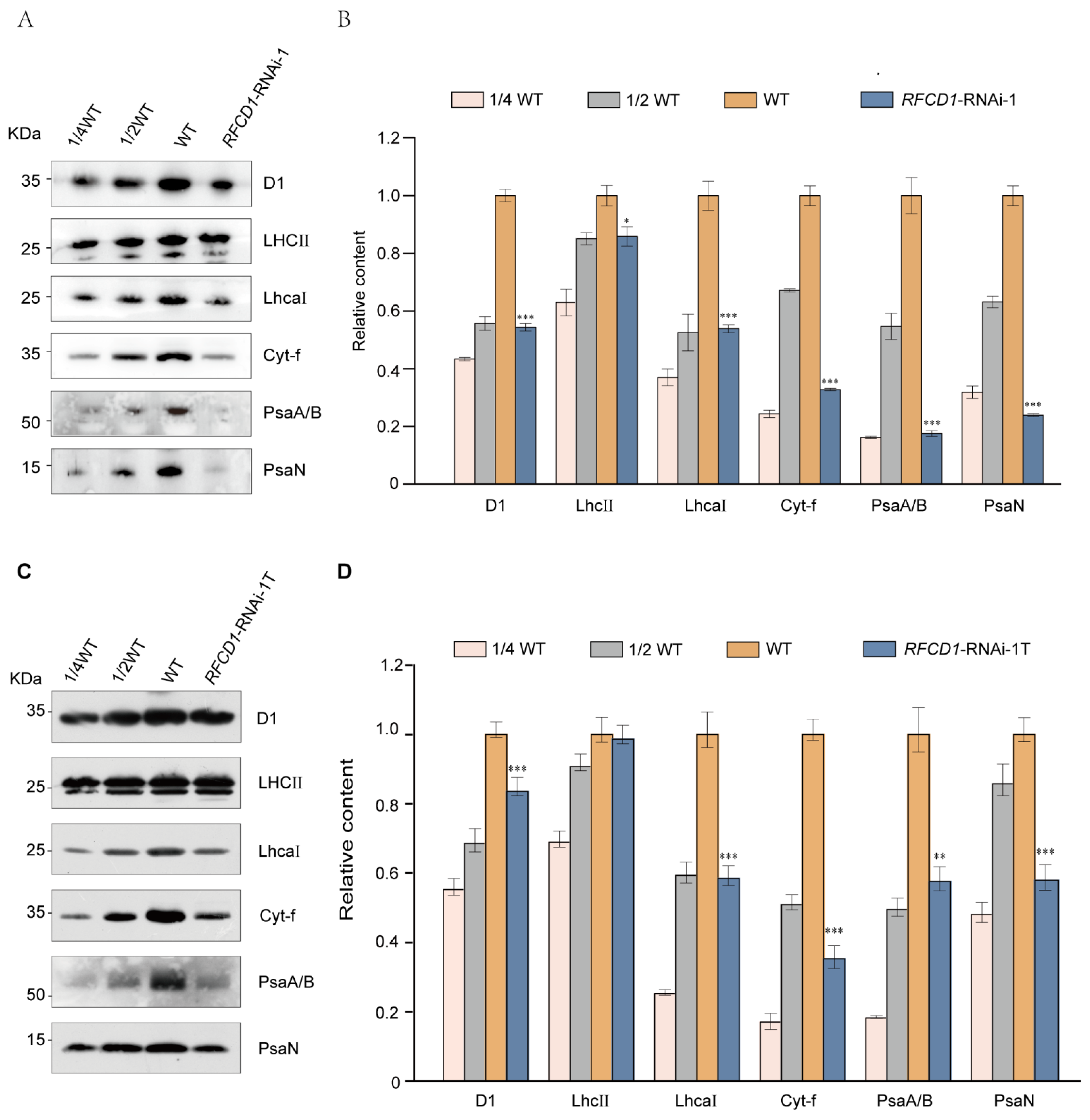 Plants 14 00921 g004