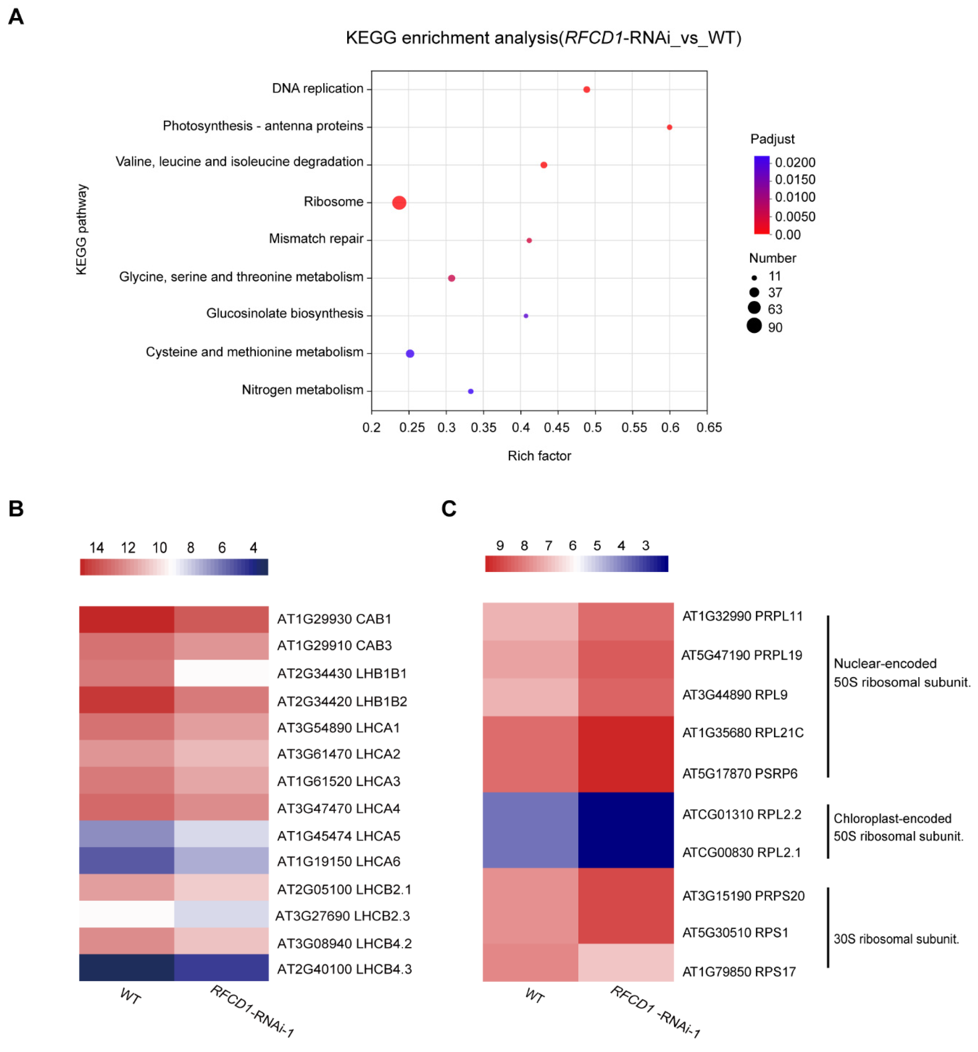 Plants 14 00921 g008