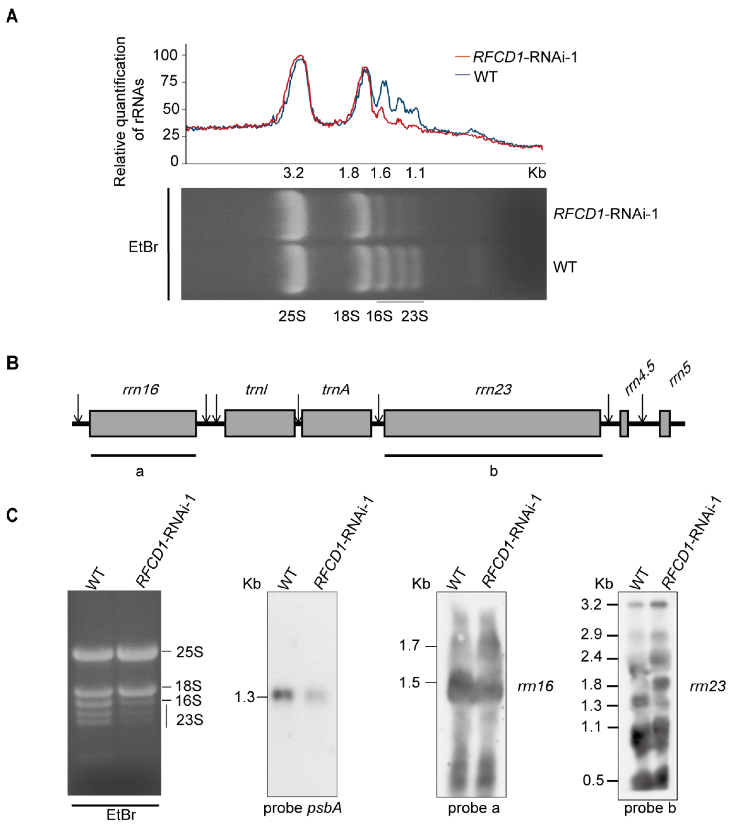 Plants 14 00921 g009