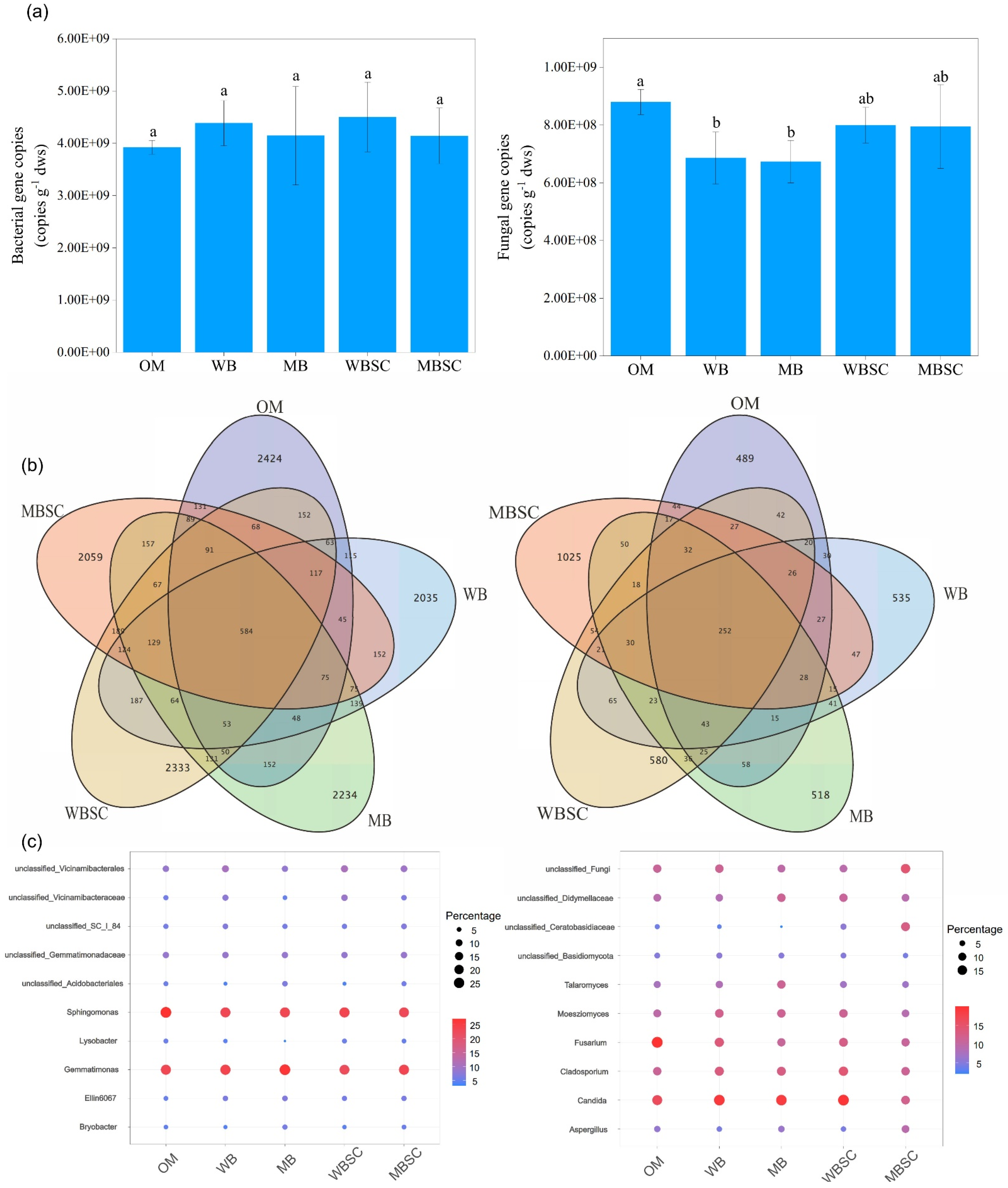 Plants 14 00922 g002