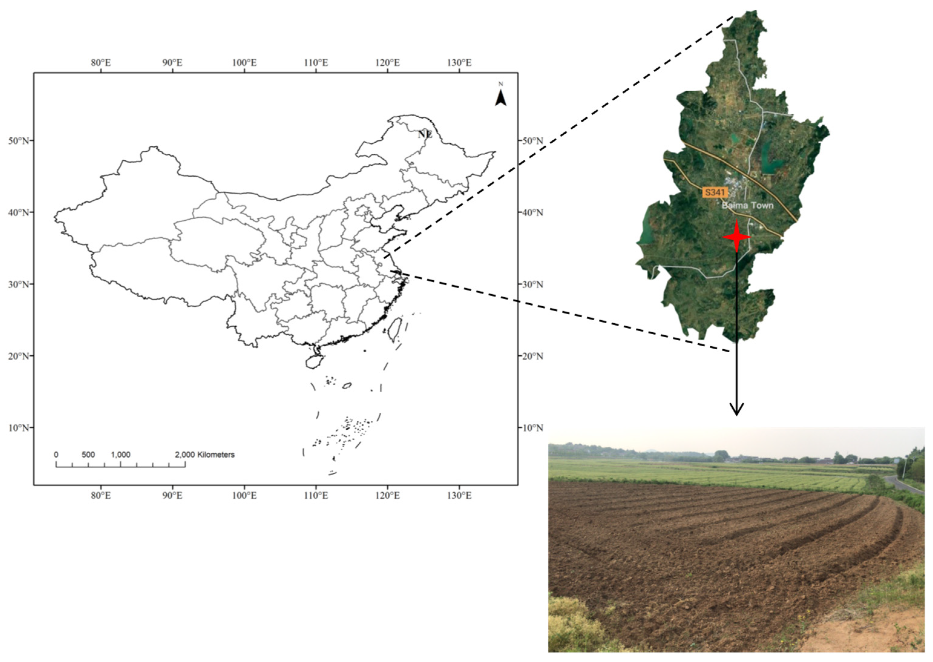 Plants 14 00922 g005