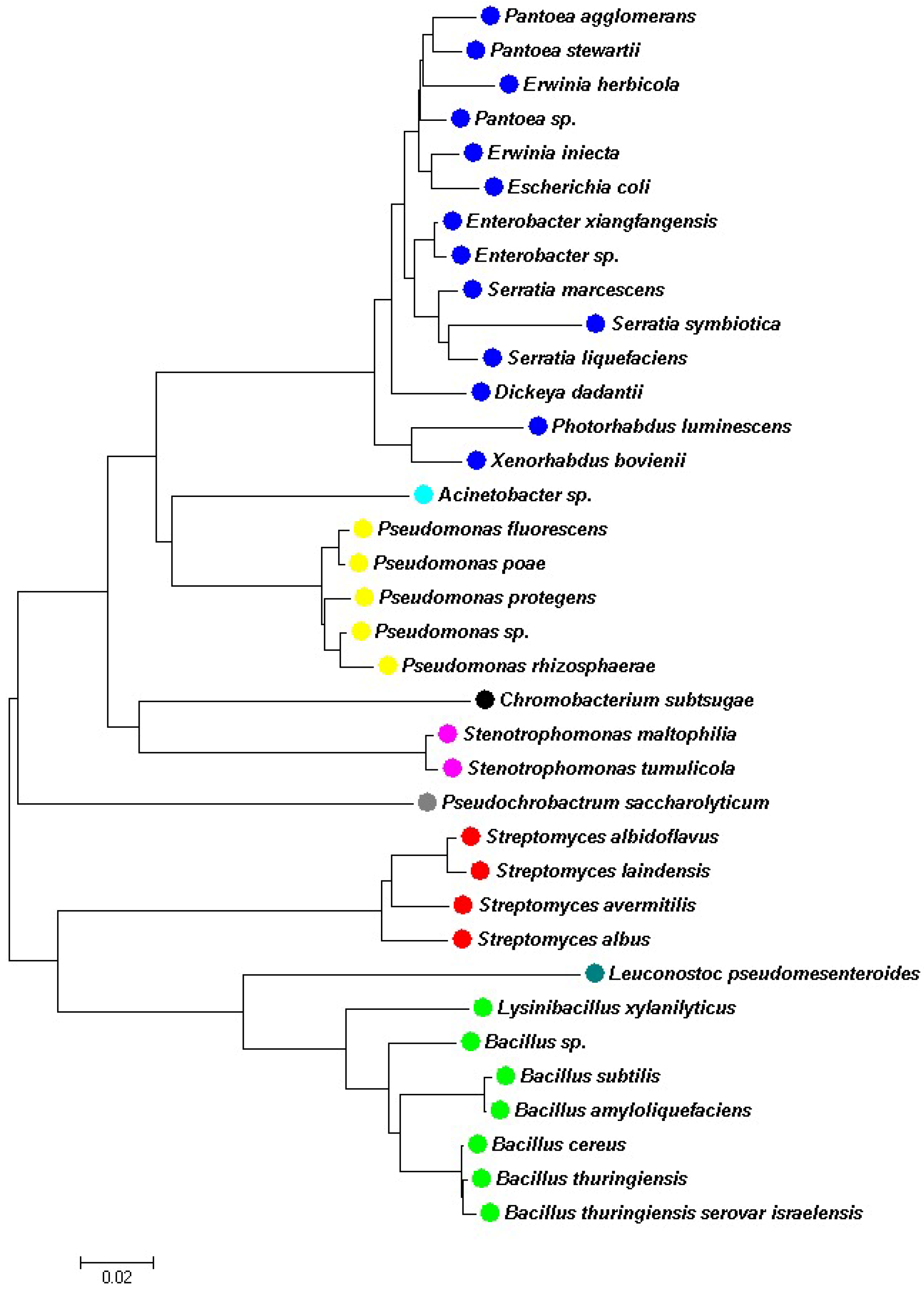 Plants 14 00943 g001