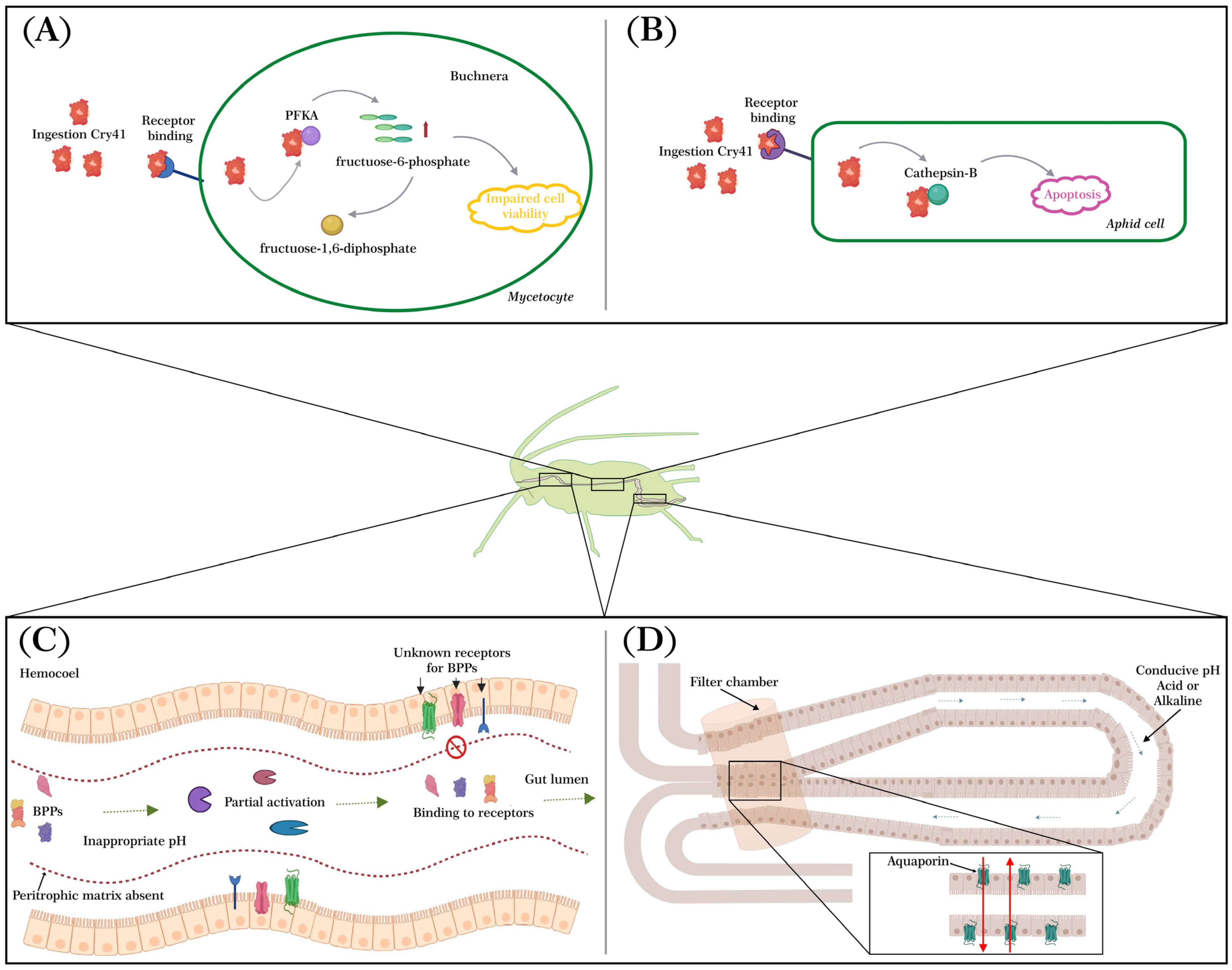 Plants 14 00943 g002