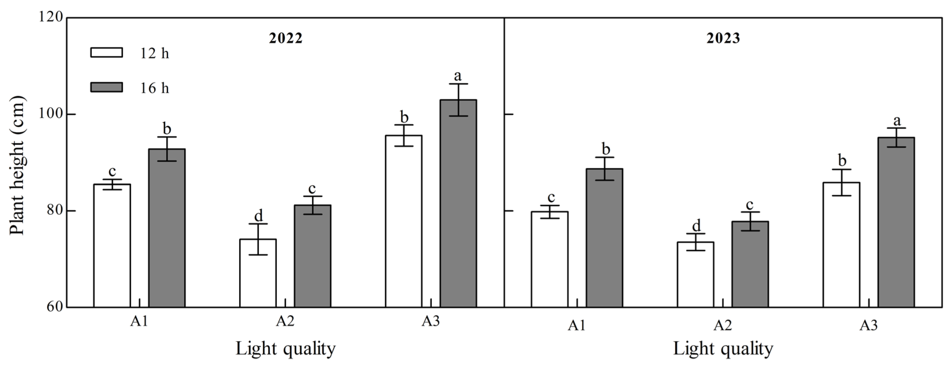 Plants 14 00953 g001