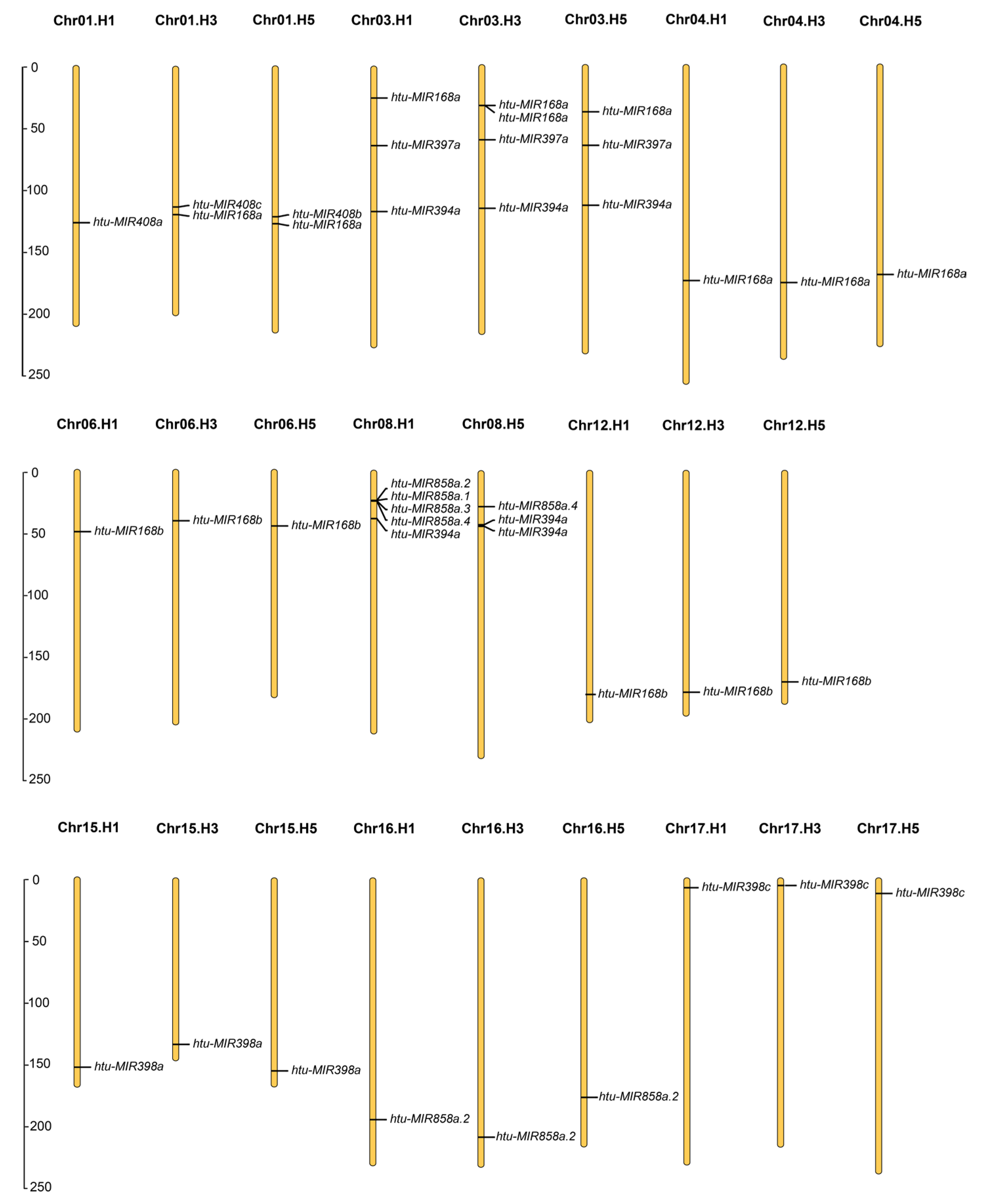 Plants 14 00955 g003