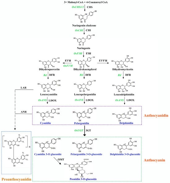 Plants 14 00963 g002