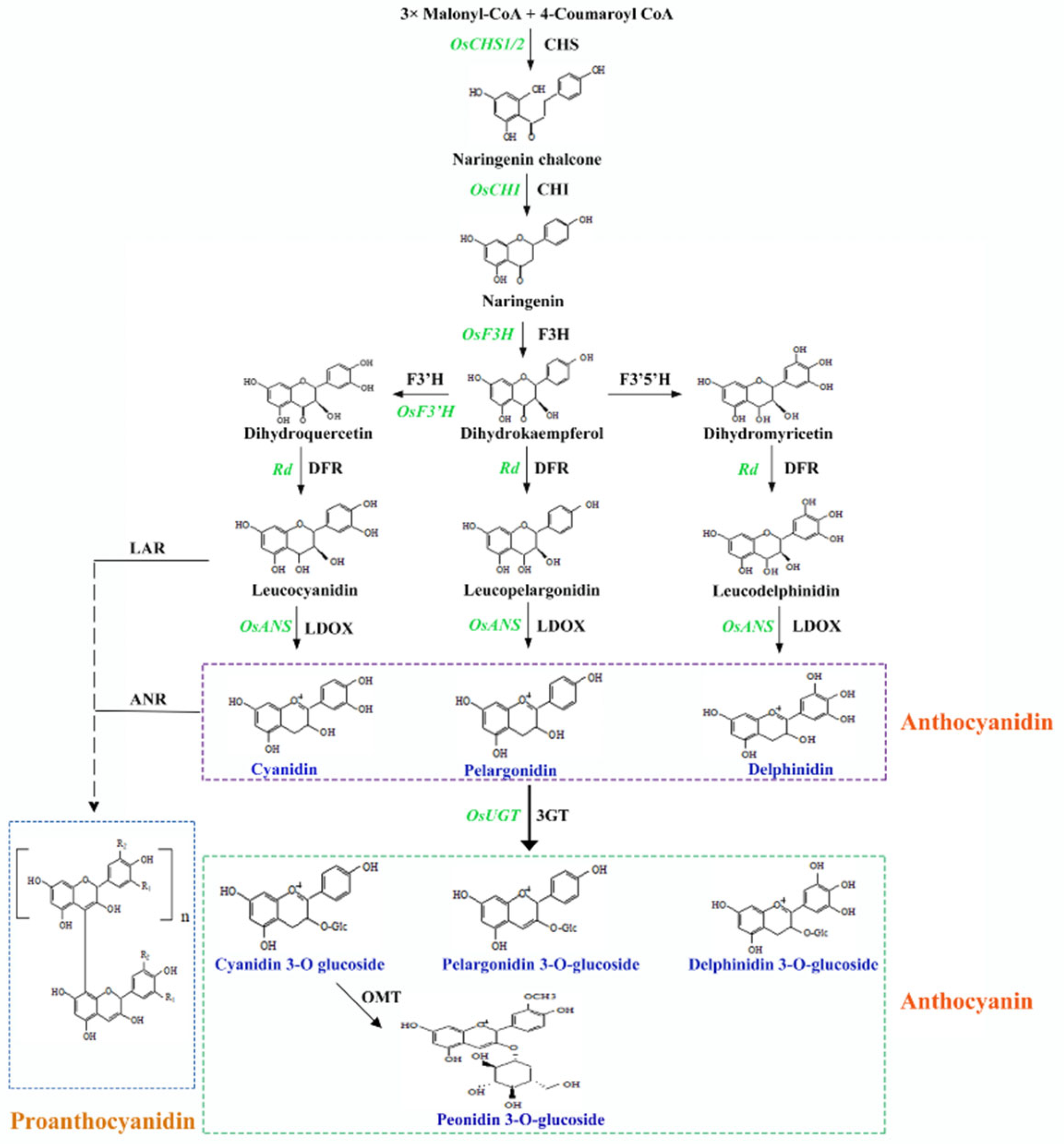 Plants 14 00963 g002