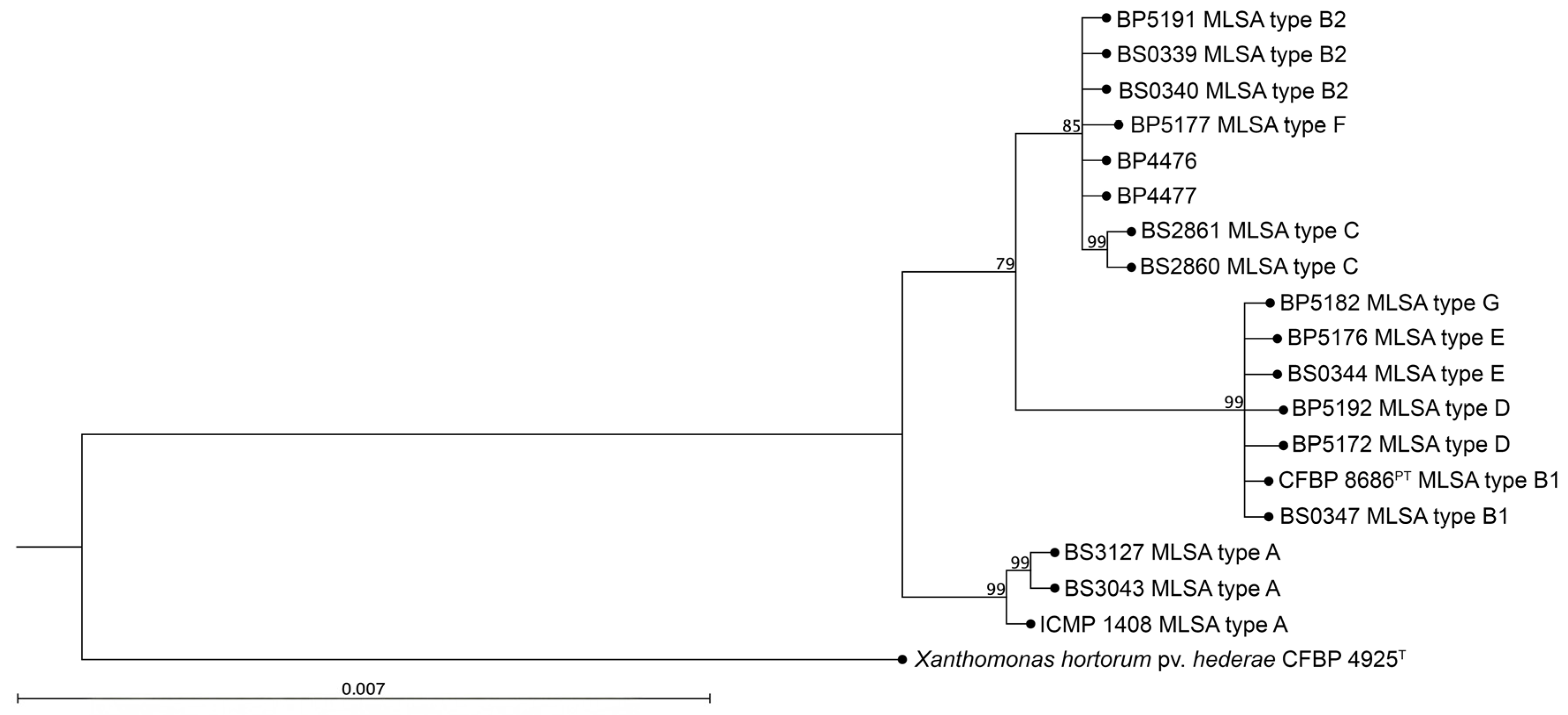 Plants 14 00964 g004 Plants 14 00964 g004