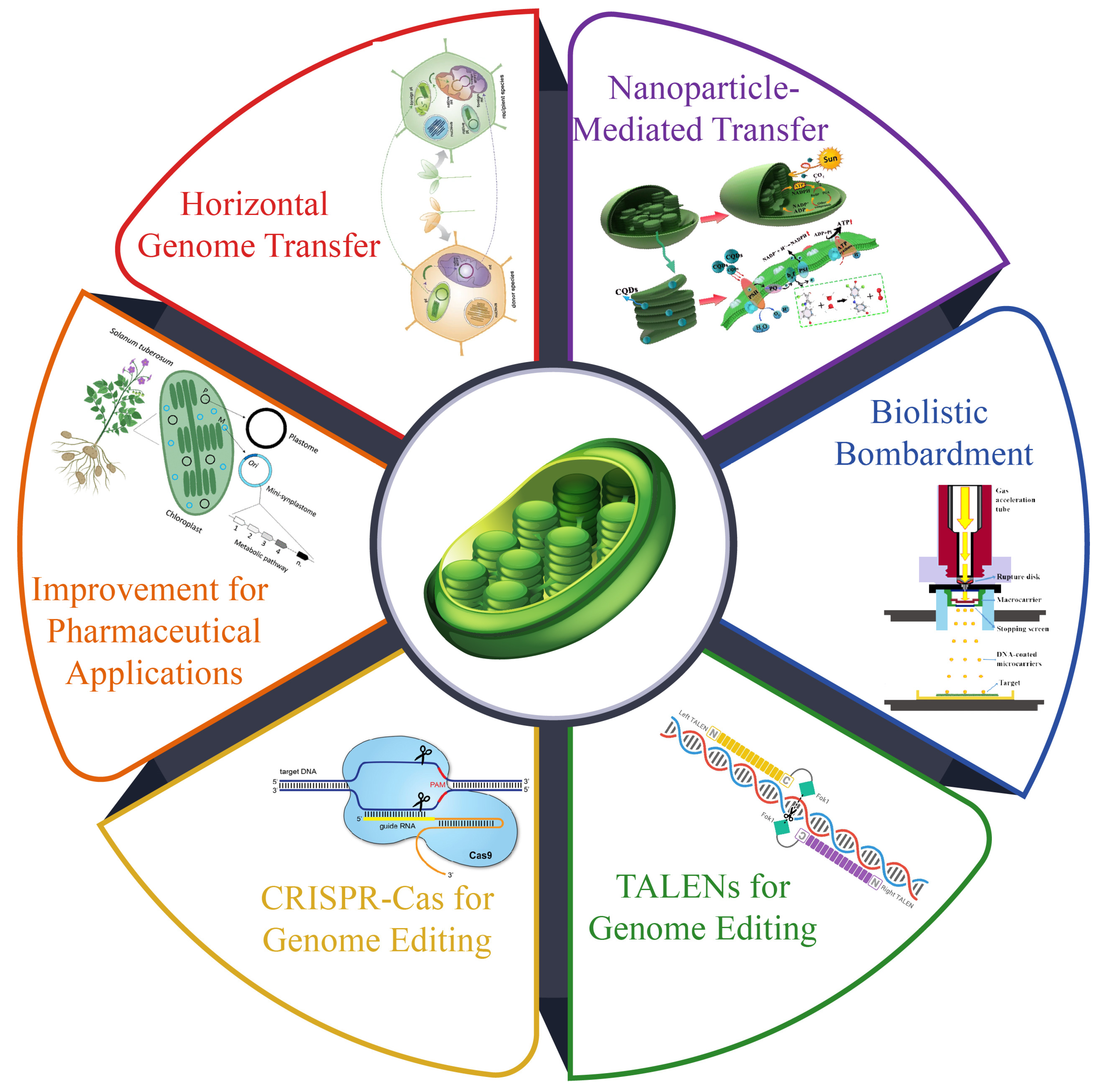 Plants 14 00978 g005