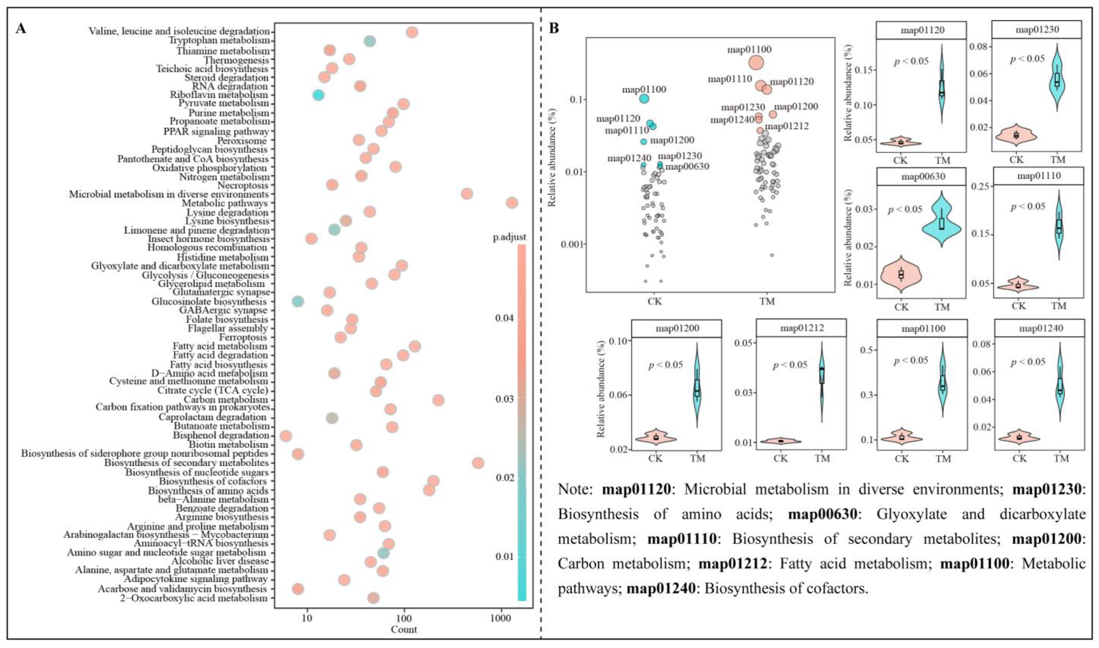 Plants 14 00981 g007