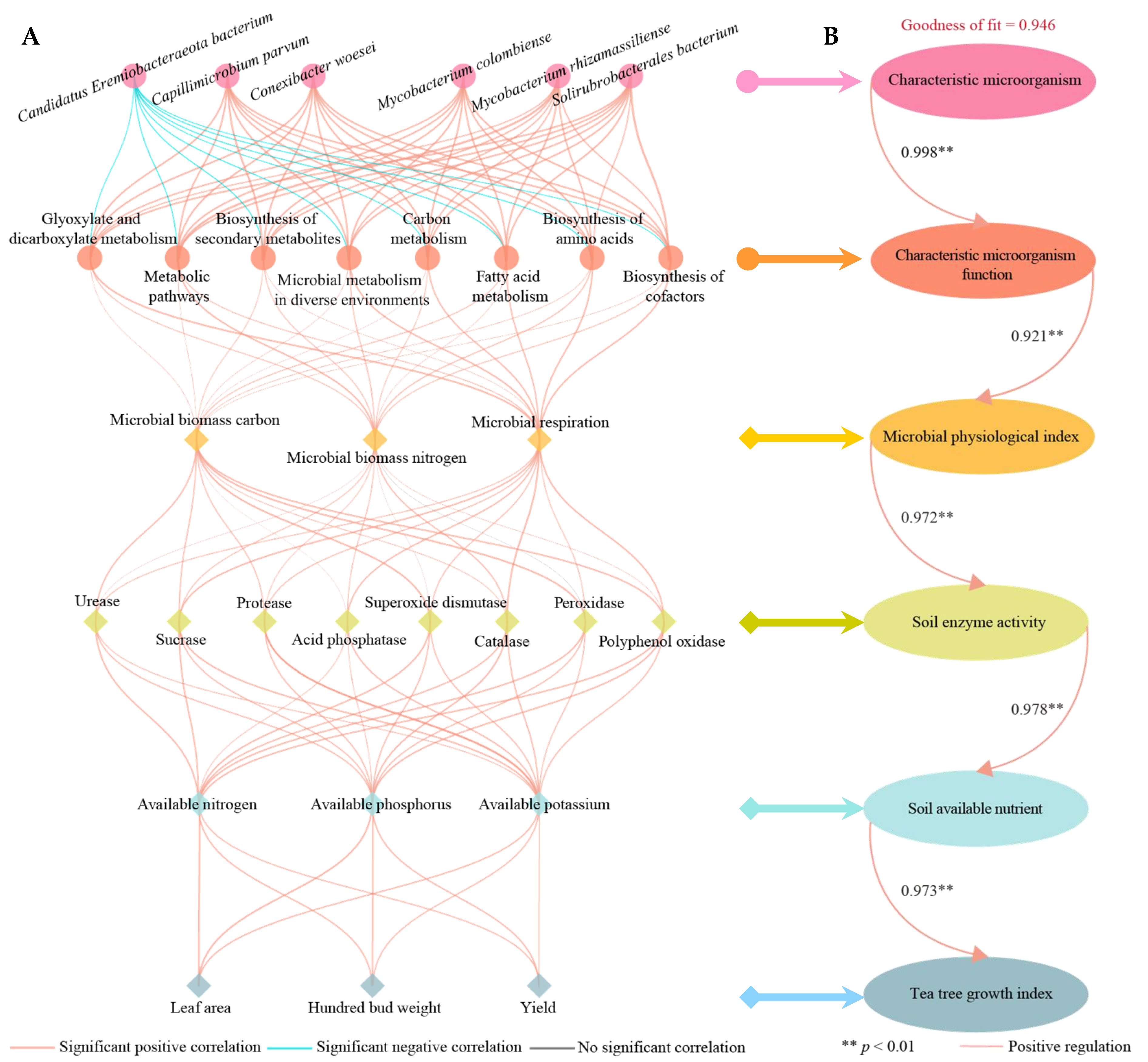 Plants 14 00981 g008