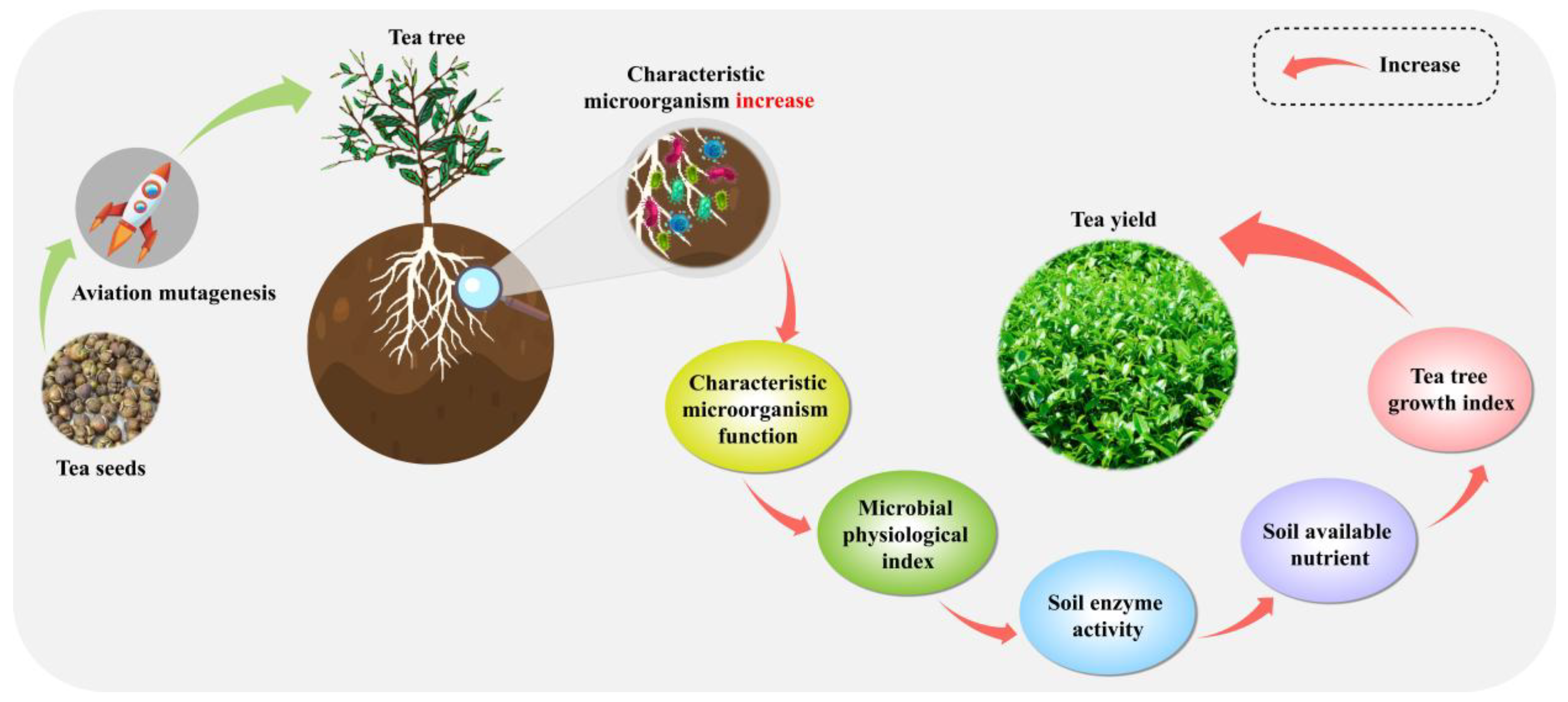 Plants 14 00981 g009