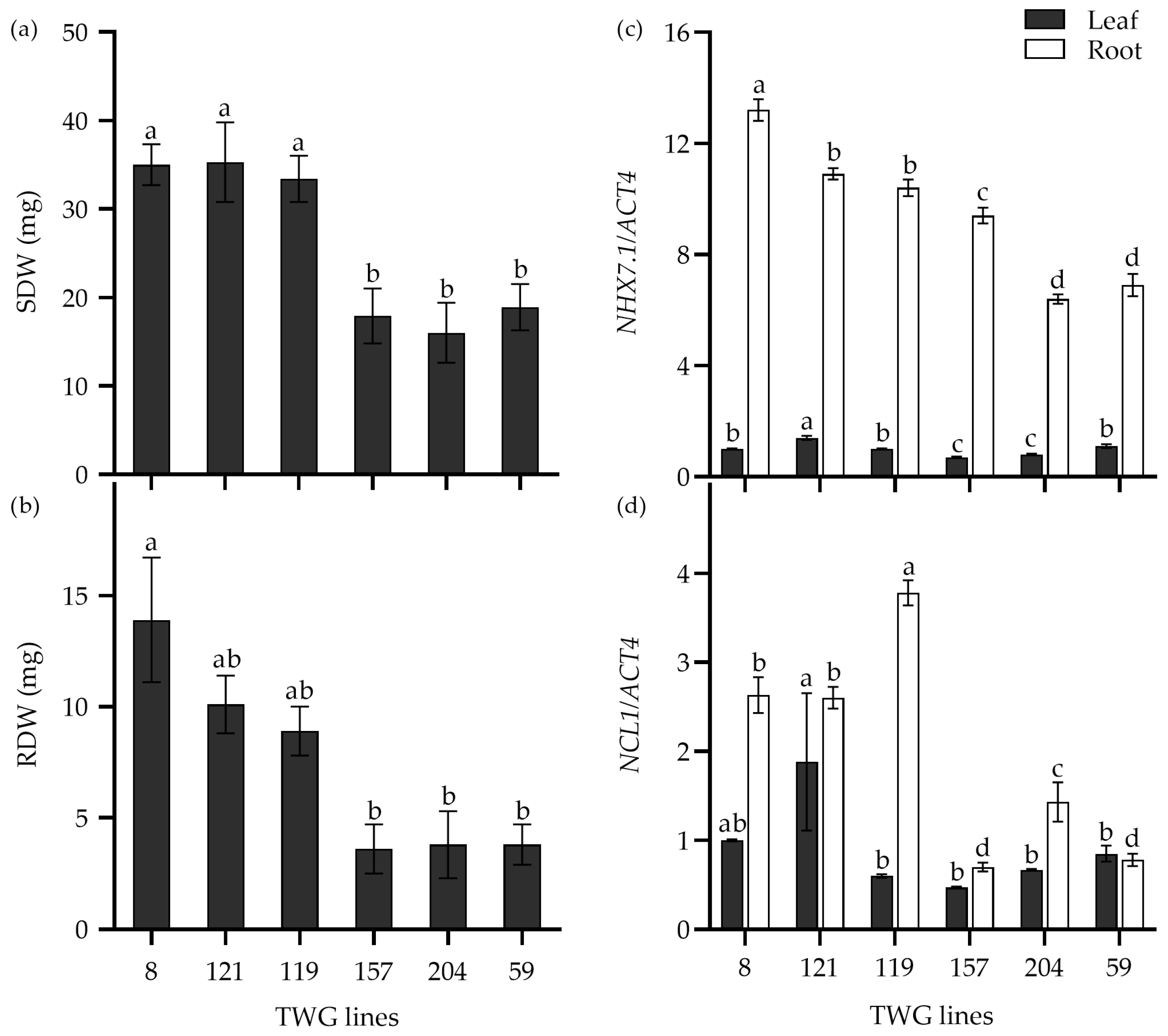 Plants 14 00983 g007 Plants 14 00983 g007