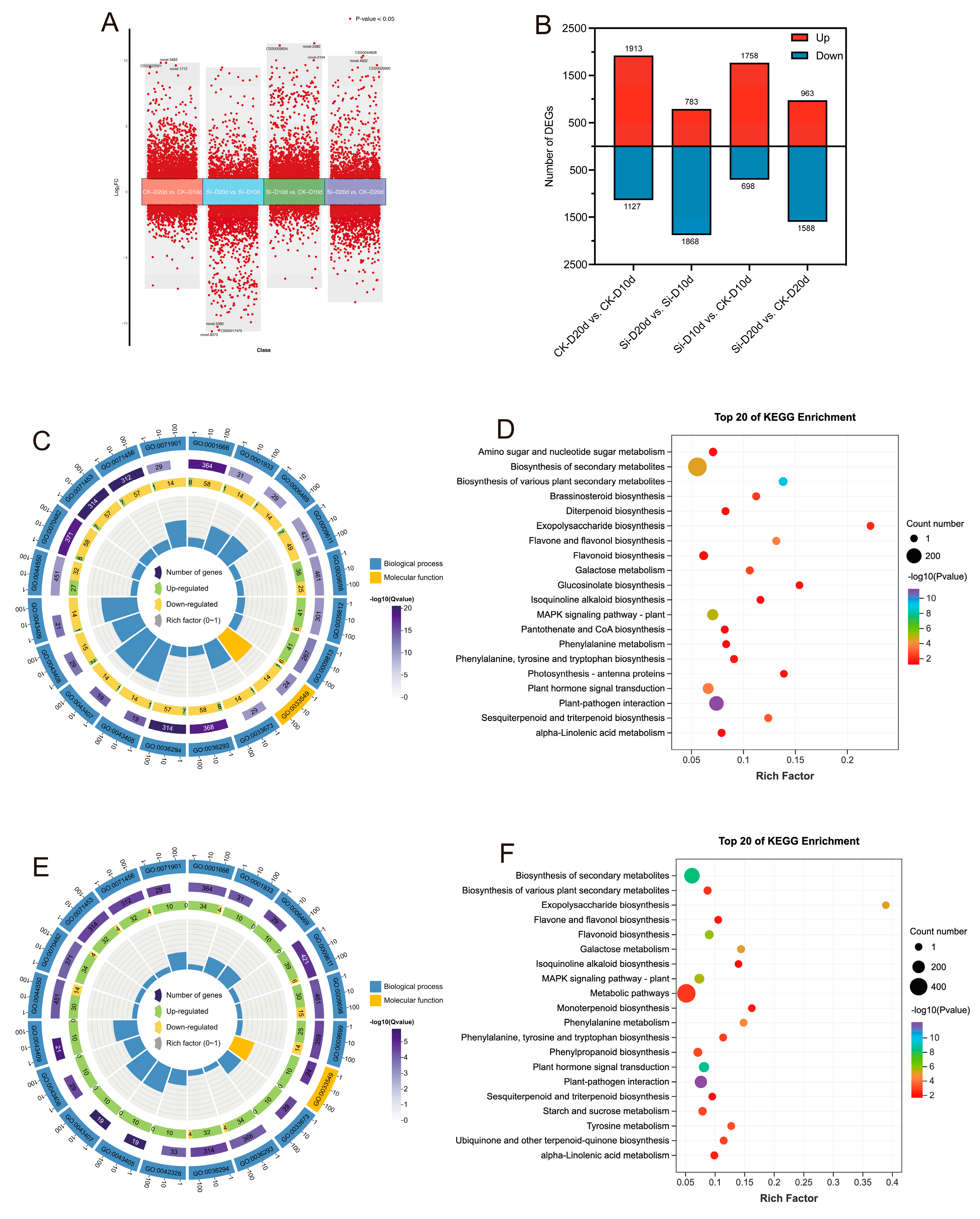 Plants 14 00989 g002