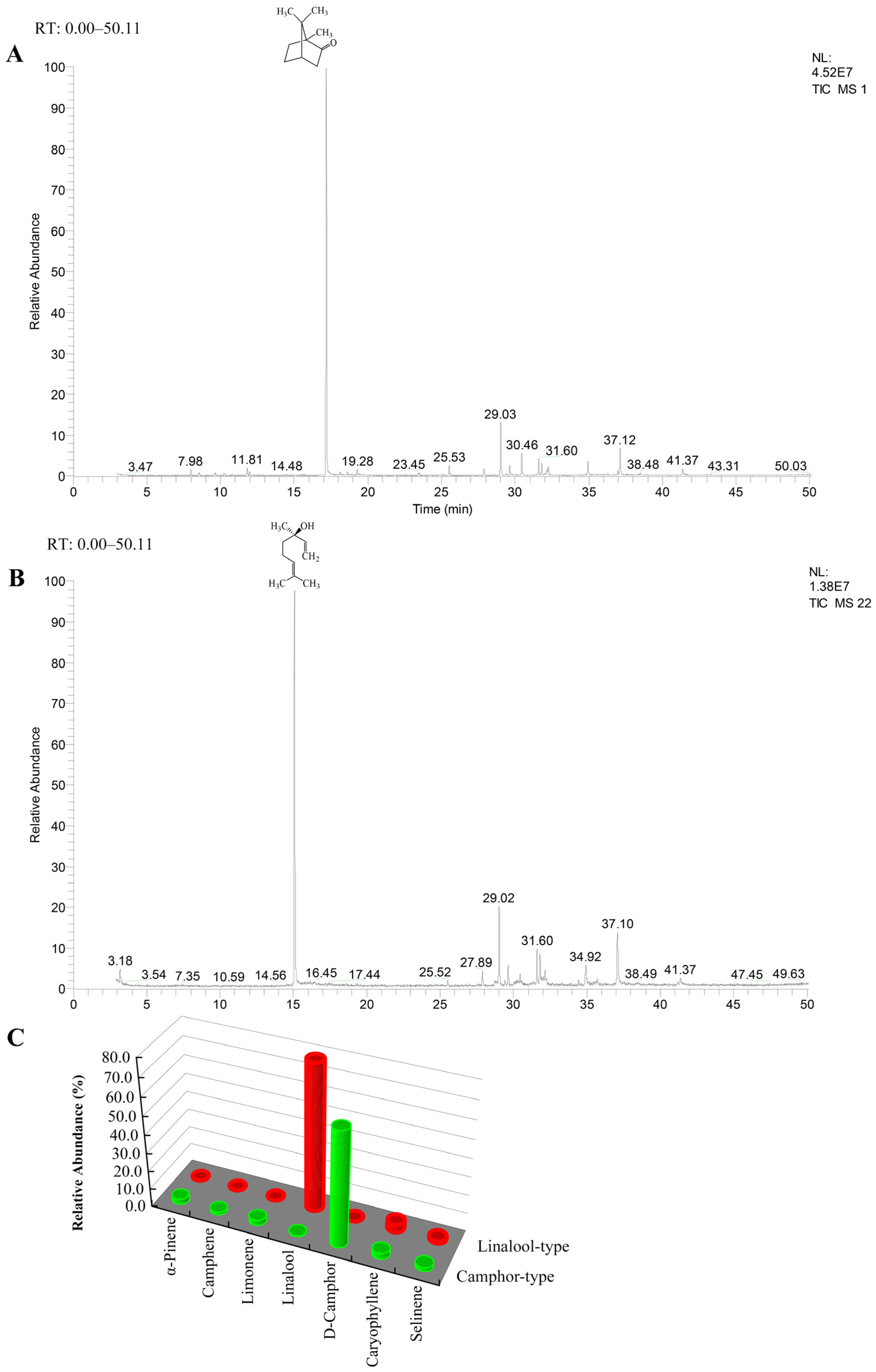Plants 14 00991 g001