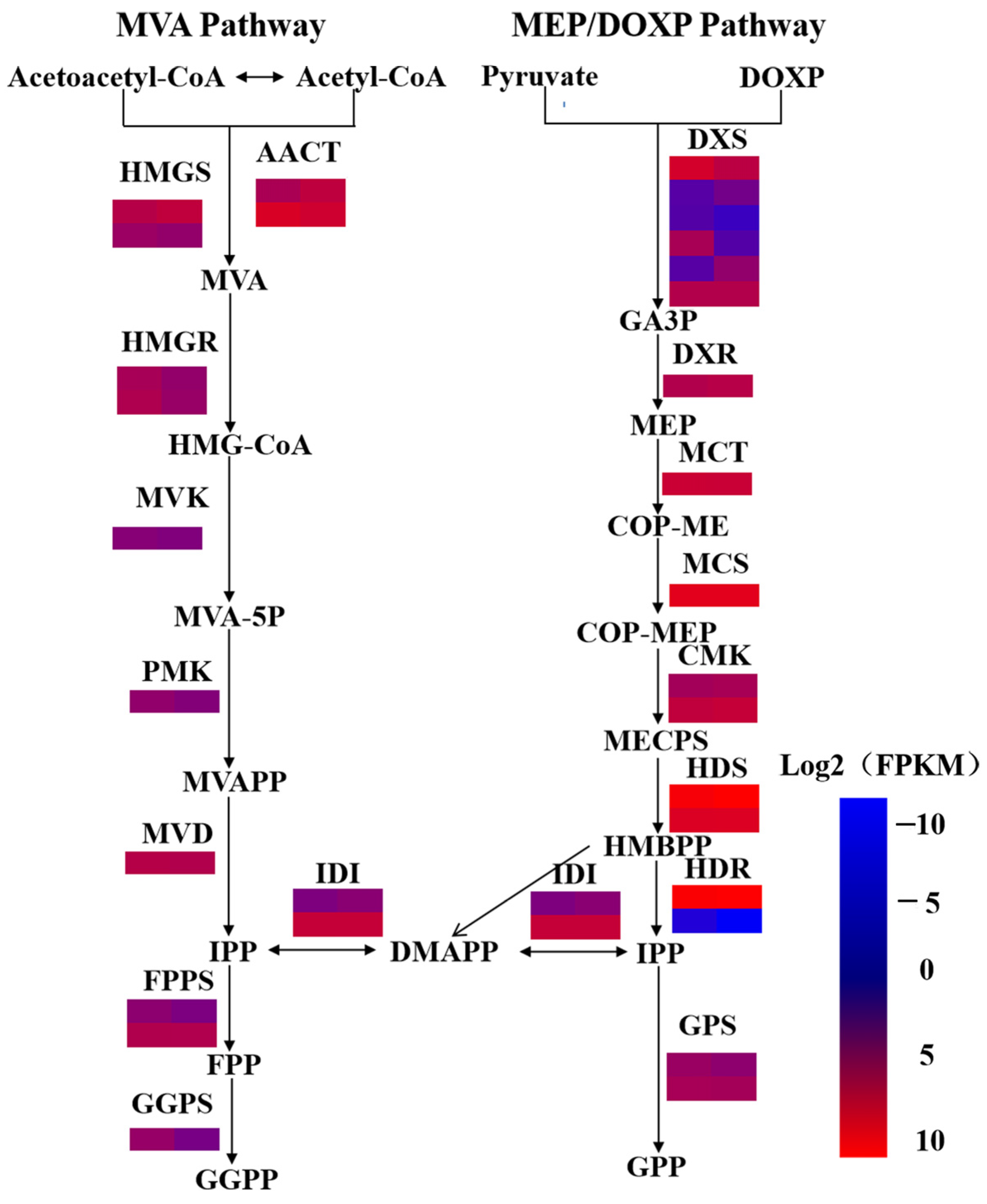 Plants 14 00991 g003