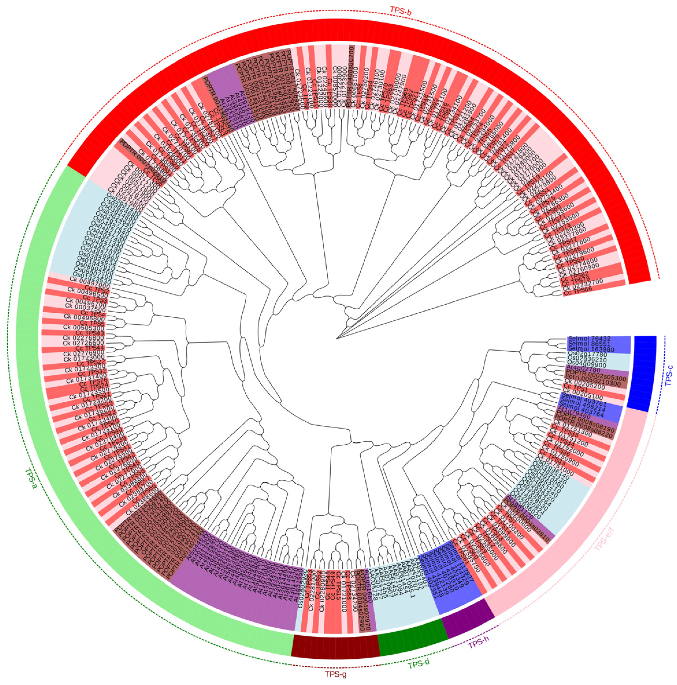 Plants 14 00991 g004