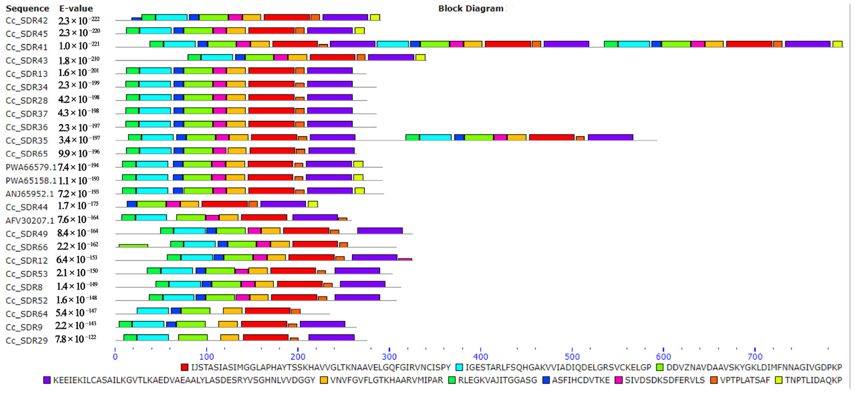 Plants 14 00991 g005
