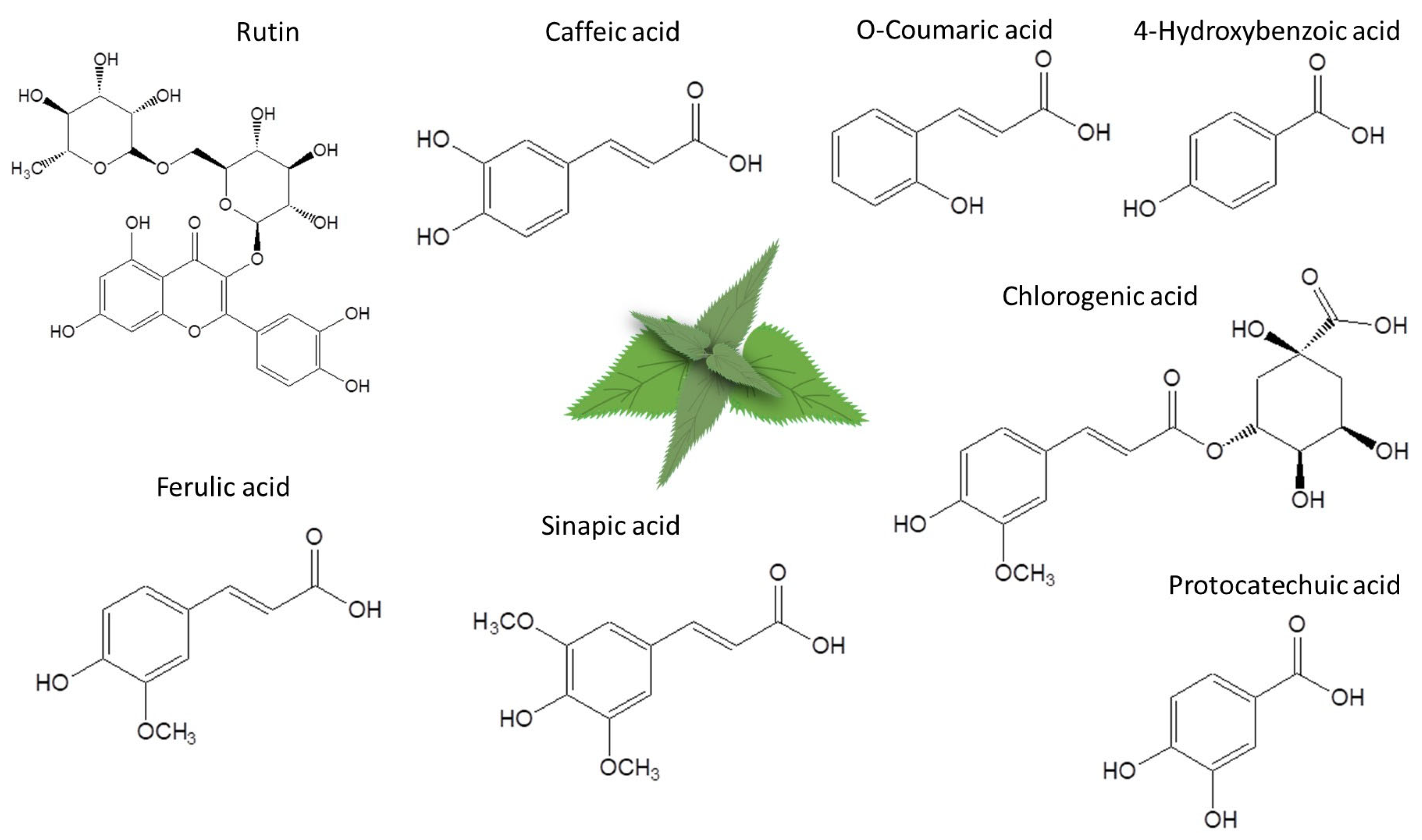 Plants 14 00992 g001