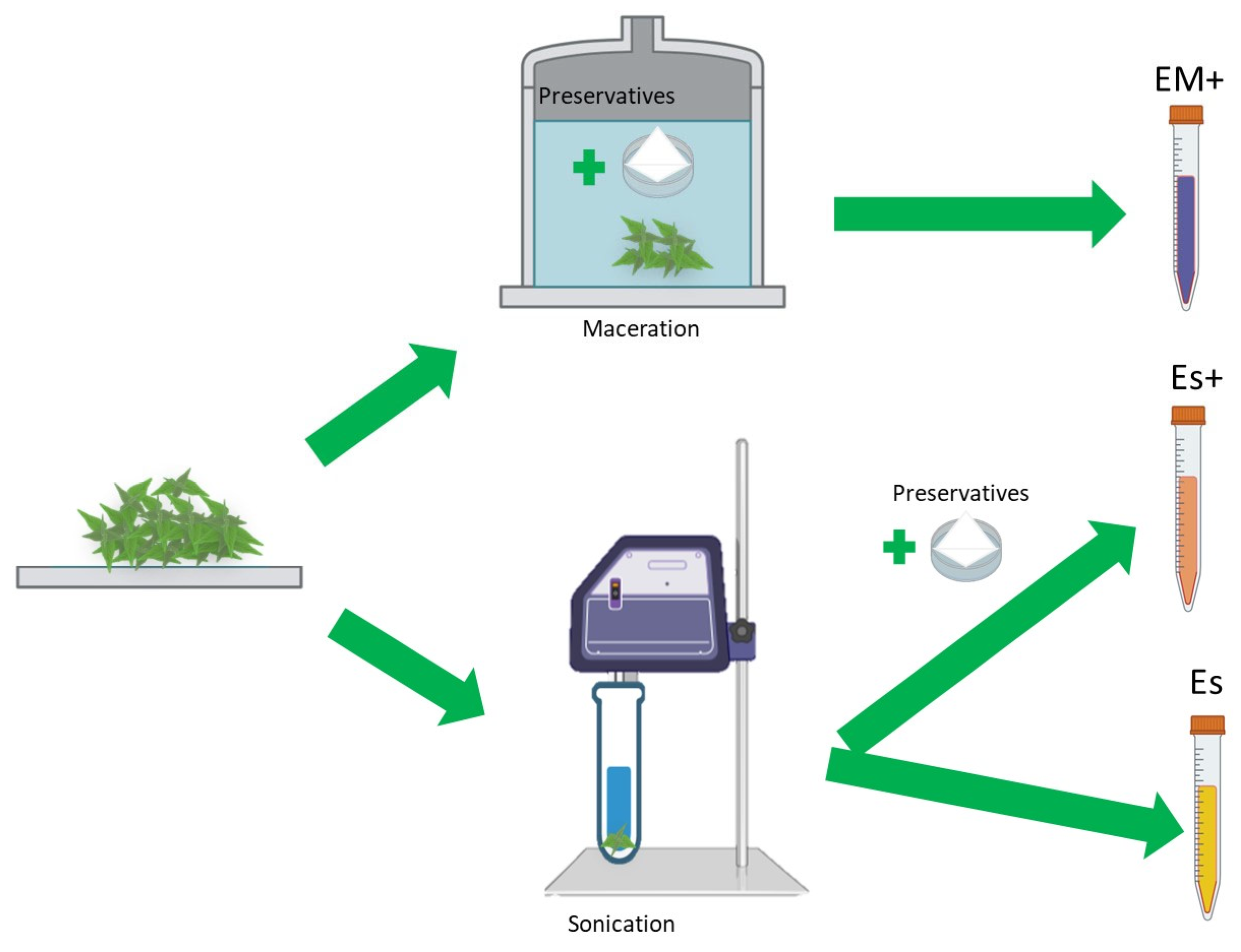 Plants 14 00992 g009