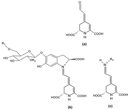 Plants 14 00994 g001