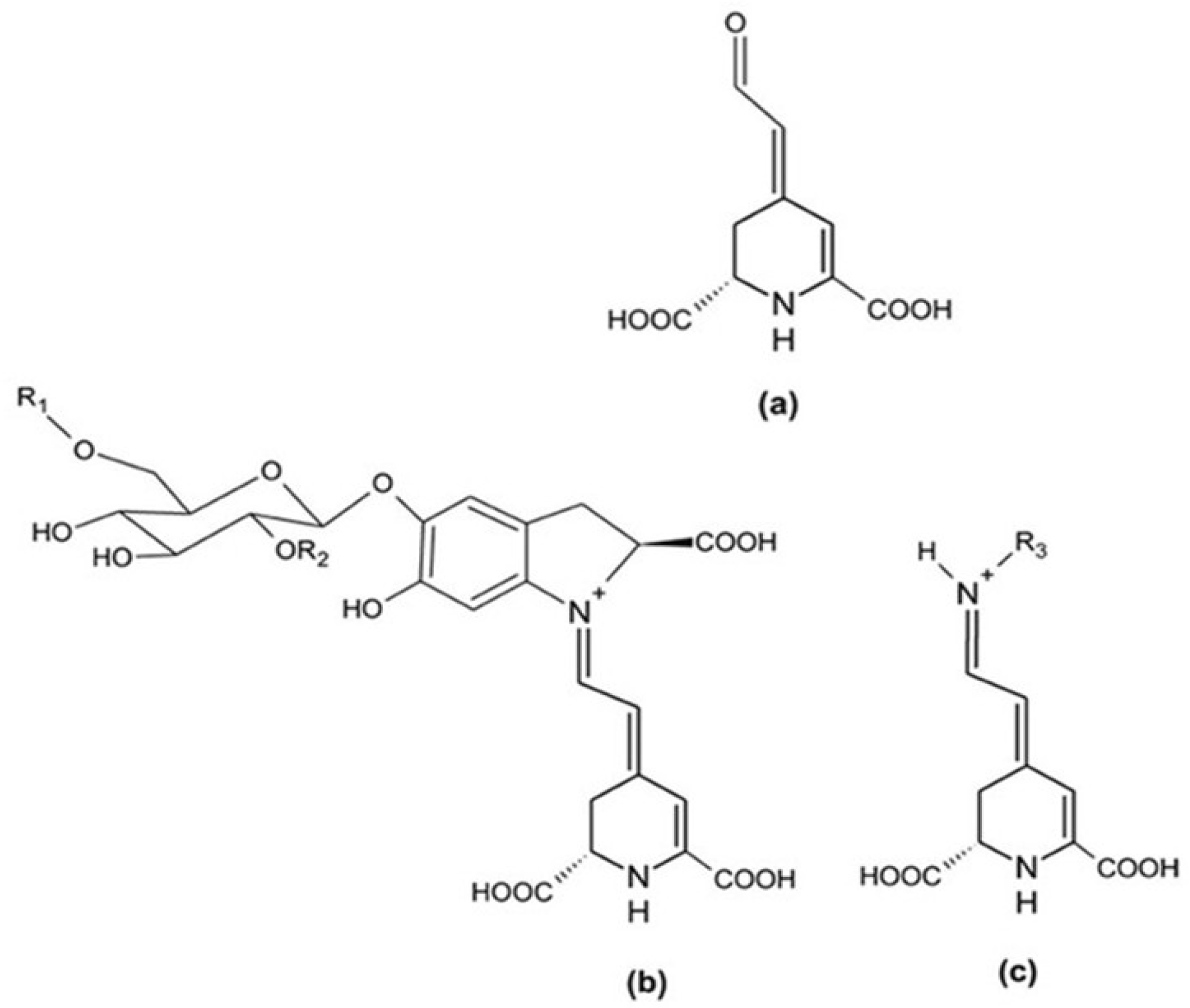 Plants 14 00994 g001