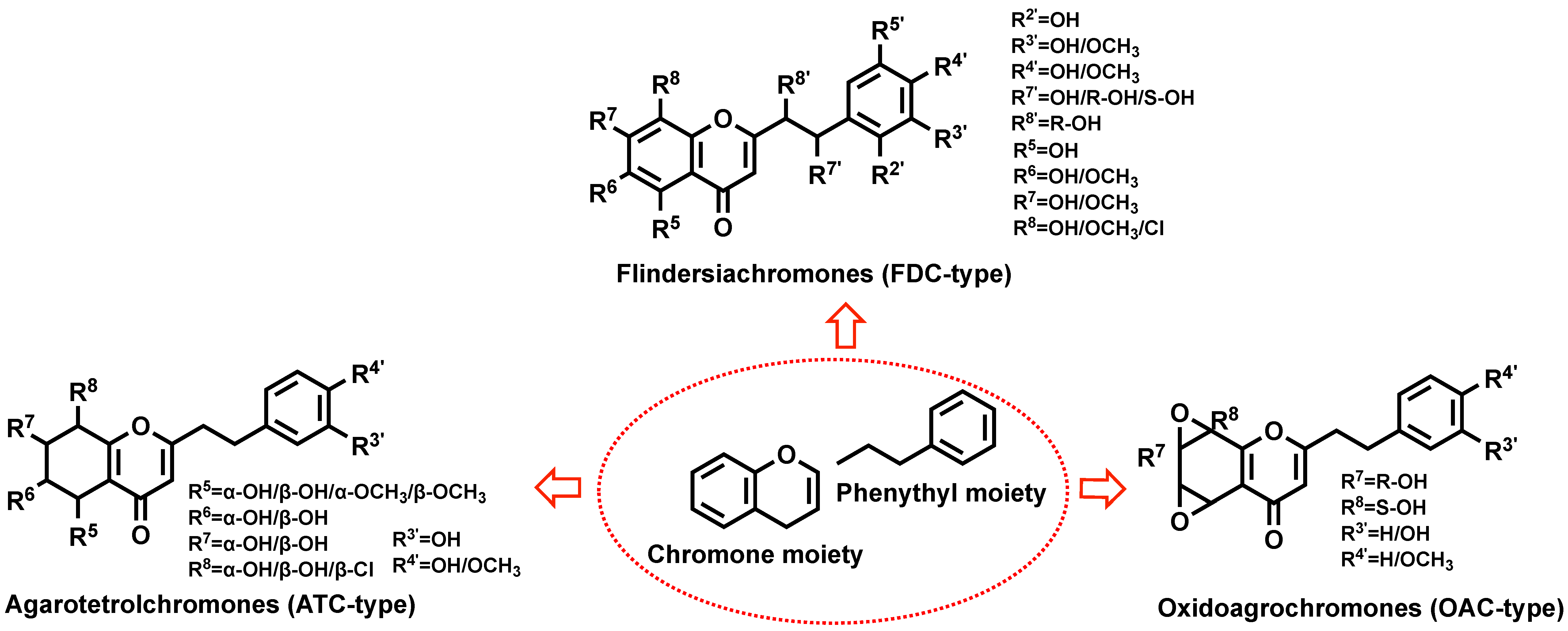 Plants 14 01012 g001