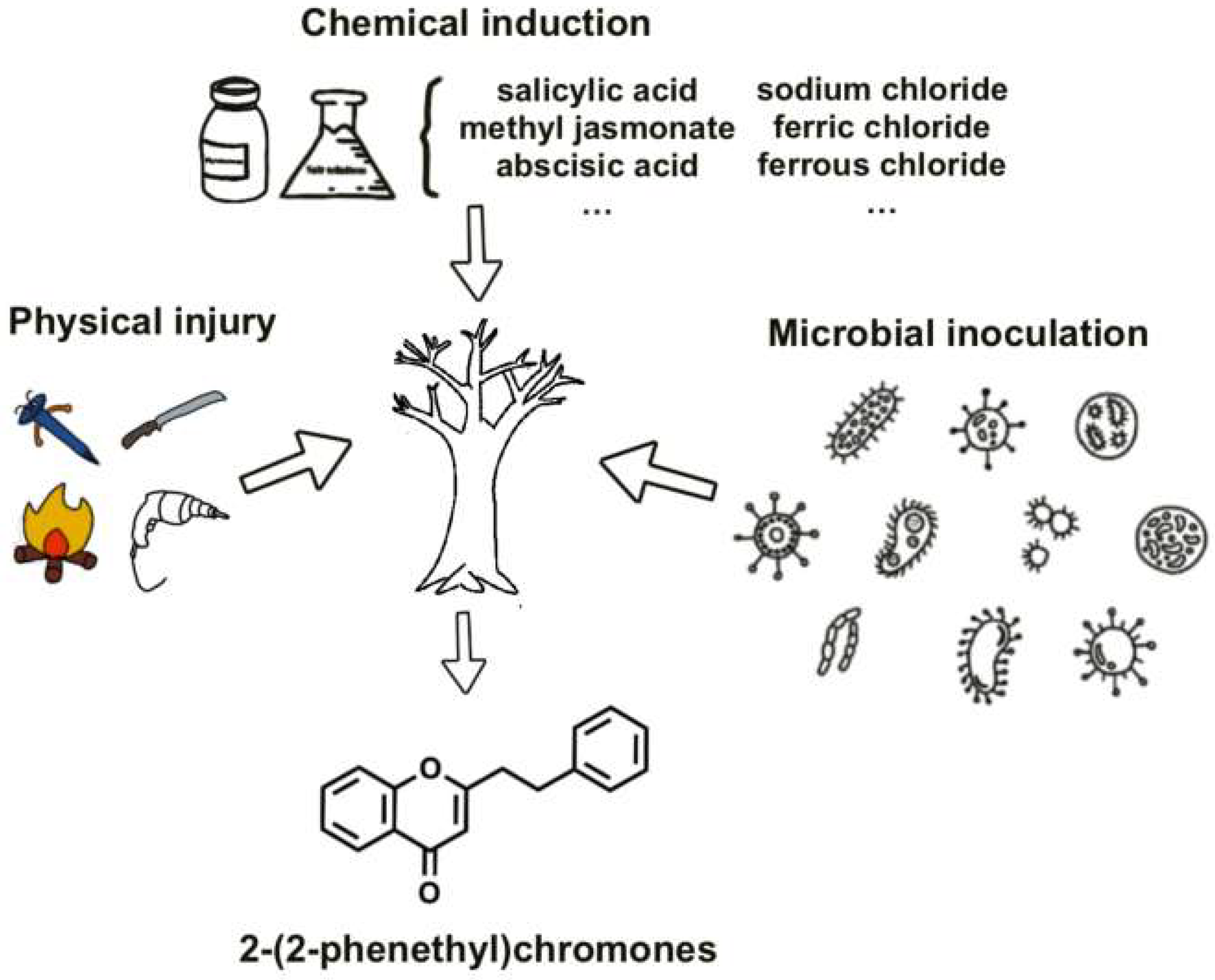 Plants 14 01012 g002